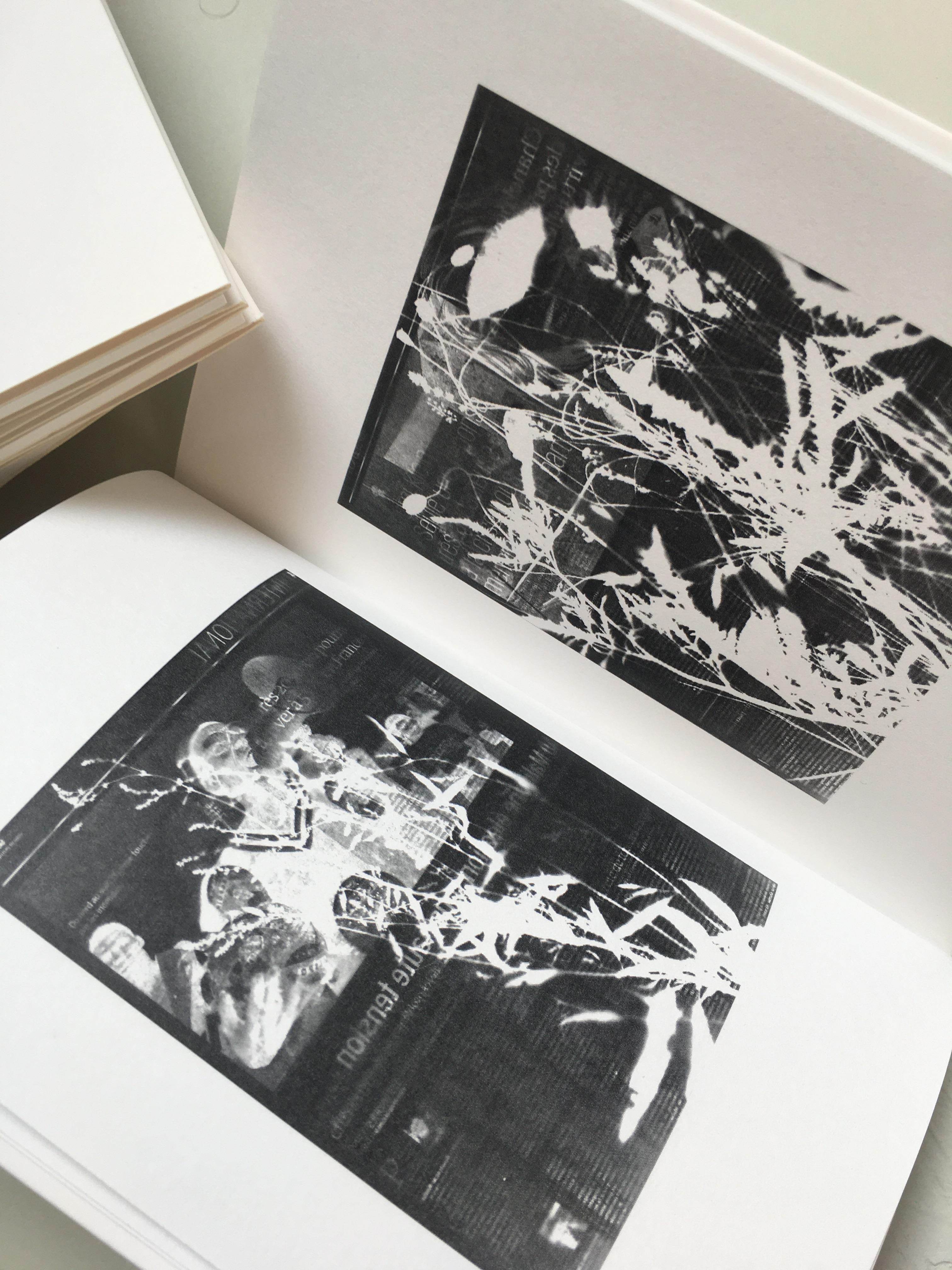 Recueil Les plus beaux jours. Vue des photogrammes