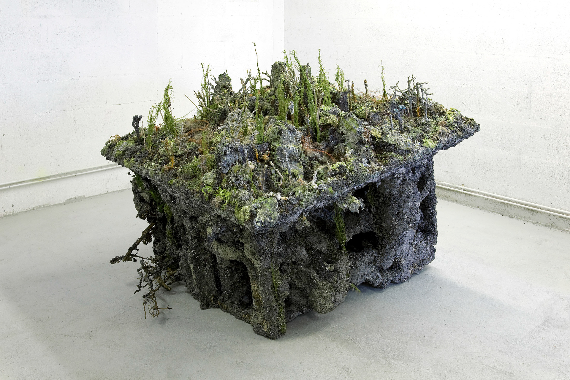 Micro-mousse. 2010. 180 x 180 x 145 cm