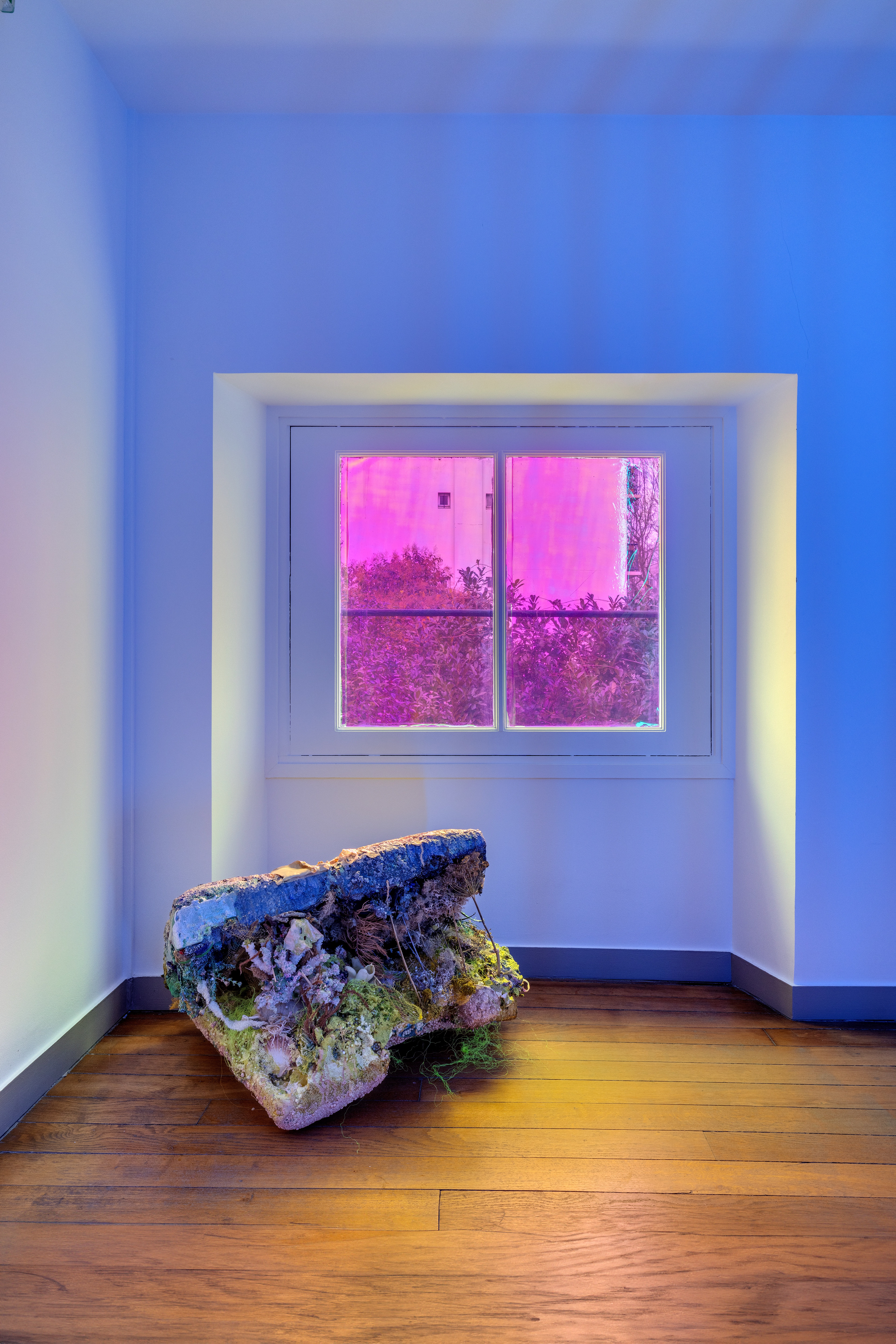 Vue de la sculpture L’eden, 2020, matéraux cultivés et collectés photo: ©RomainDarnaud 11 - Matériaux divers collectés pendant les confinements : aneths, coraux, latex, lichens, rubans, boutons, fils, éponges, etc photo: ©RomainDarnaud