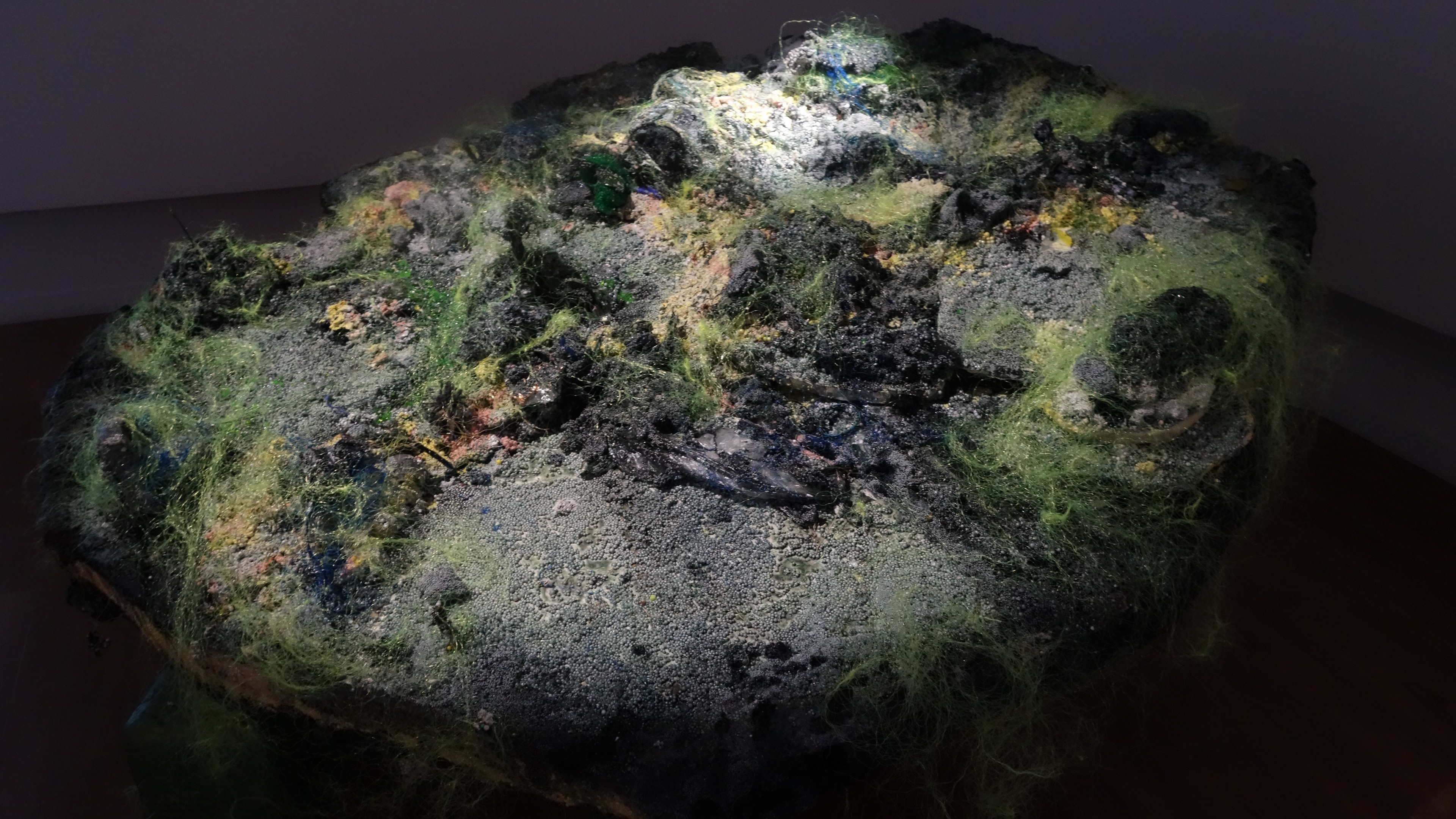 Vue du Plat-paysage, 2023. Diamêtre 175 cm