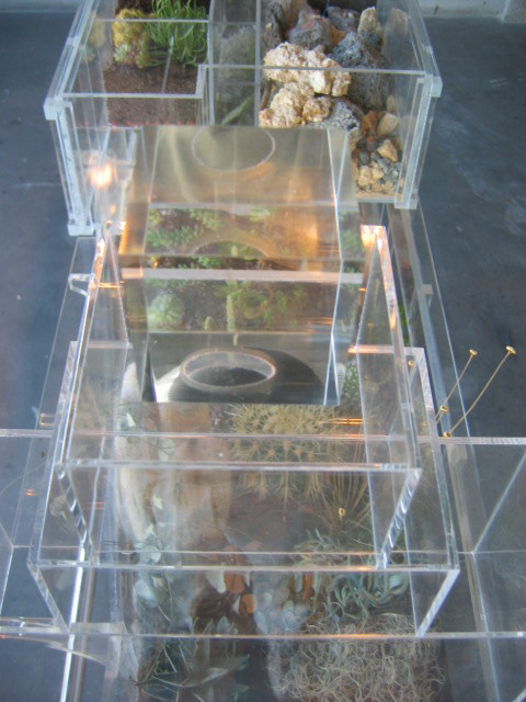 Détail de Polarity Garden. 210 x 175 x 35 cm. 2006. Co-réalisée par Emilie Benoist et Julien Sirjacq. Plantes, terre, sable, ciment, sciure, enduit, polystyrène, pltre, roches, béton, brique, fibres de résine, plexiglas, acier inoxydable et fer