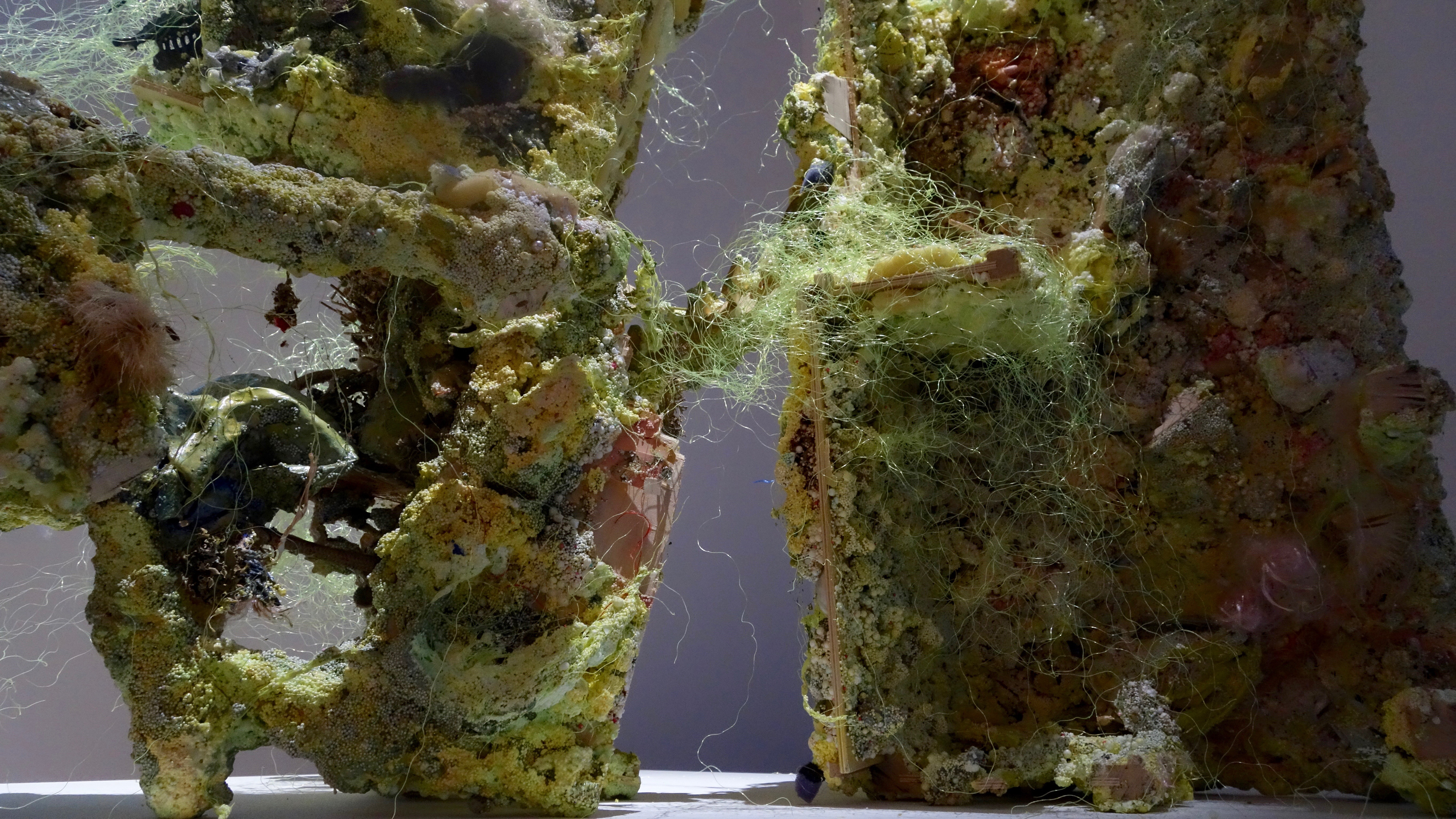 Matériaux composites : acrylique, mousse, vinyle, dérivés de polyymères, fleurs, graines etc