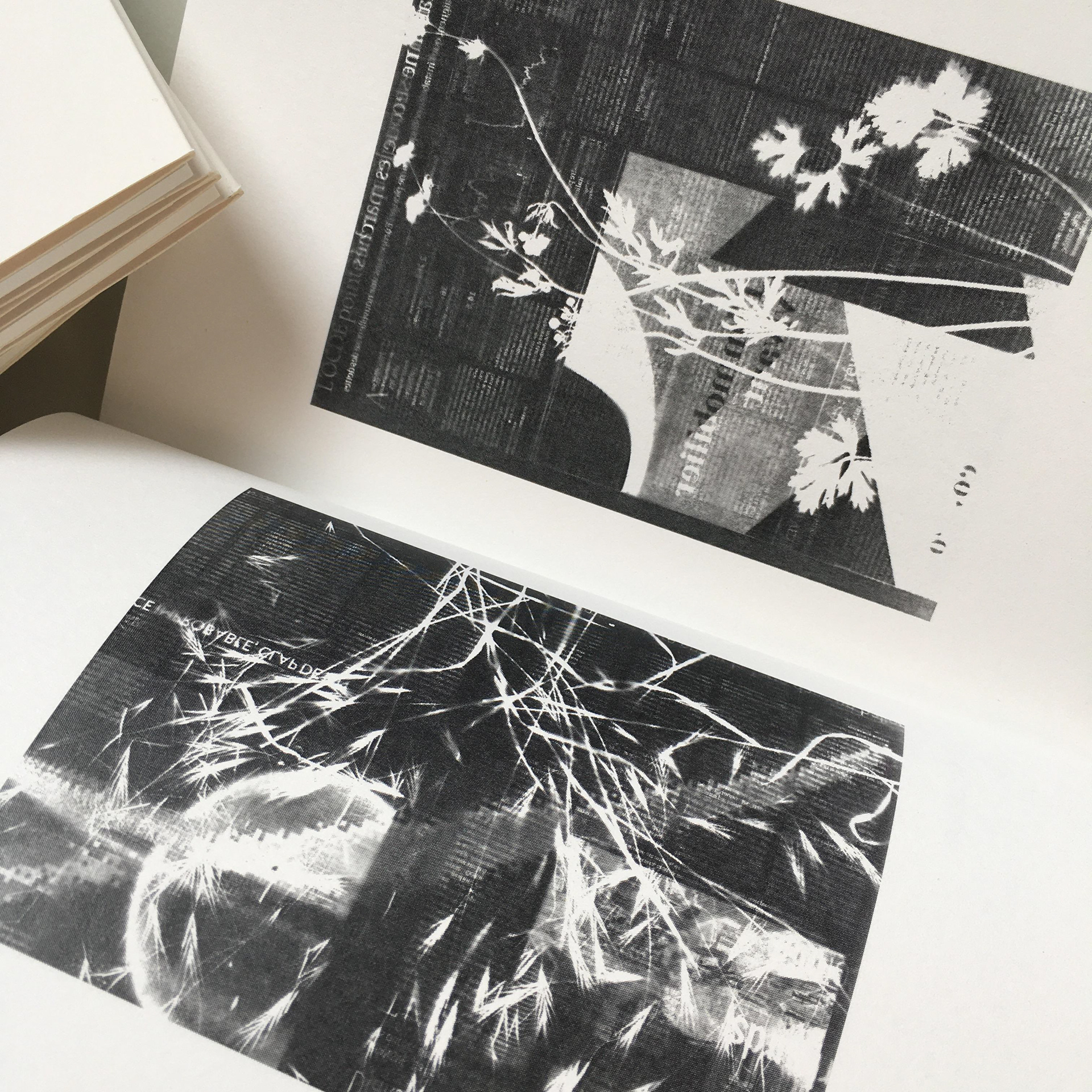  Recueil Les plus beaux jours. Vue des photogrammes 