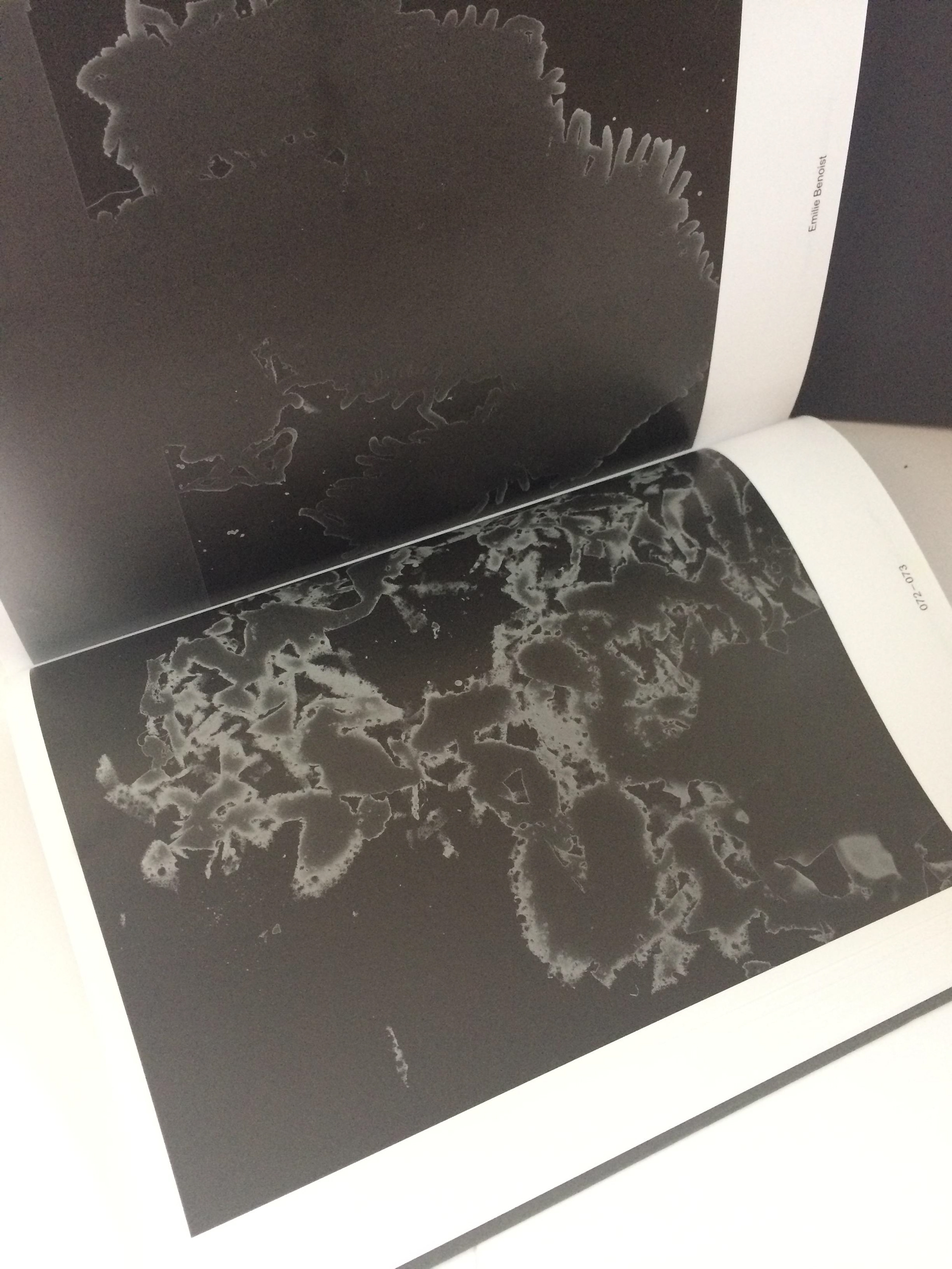 Vue de l'édition Dust : The Plates of the Present. Spector Books. Curators Thomas Fougeirol et Jo-Ey Tang