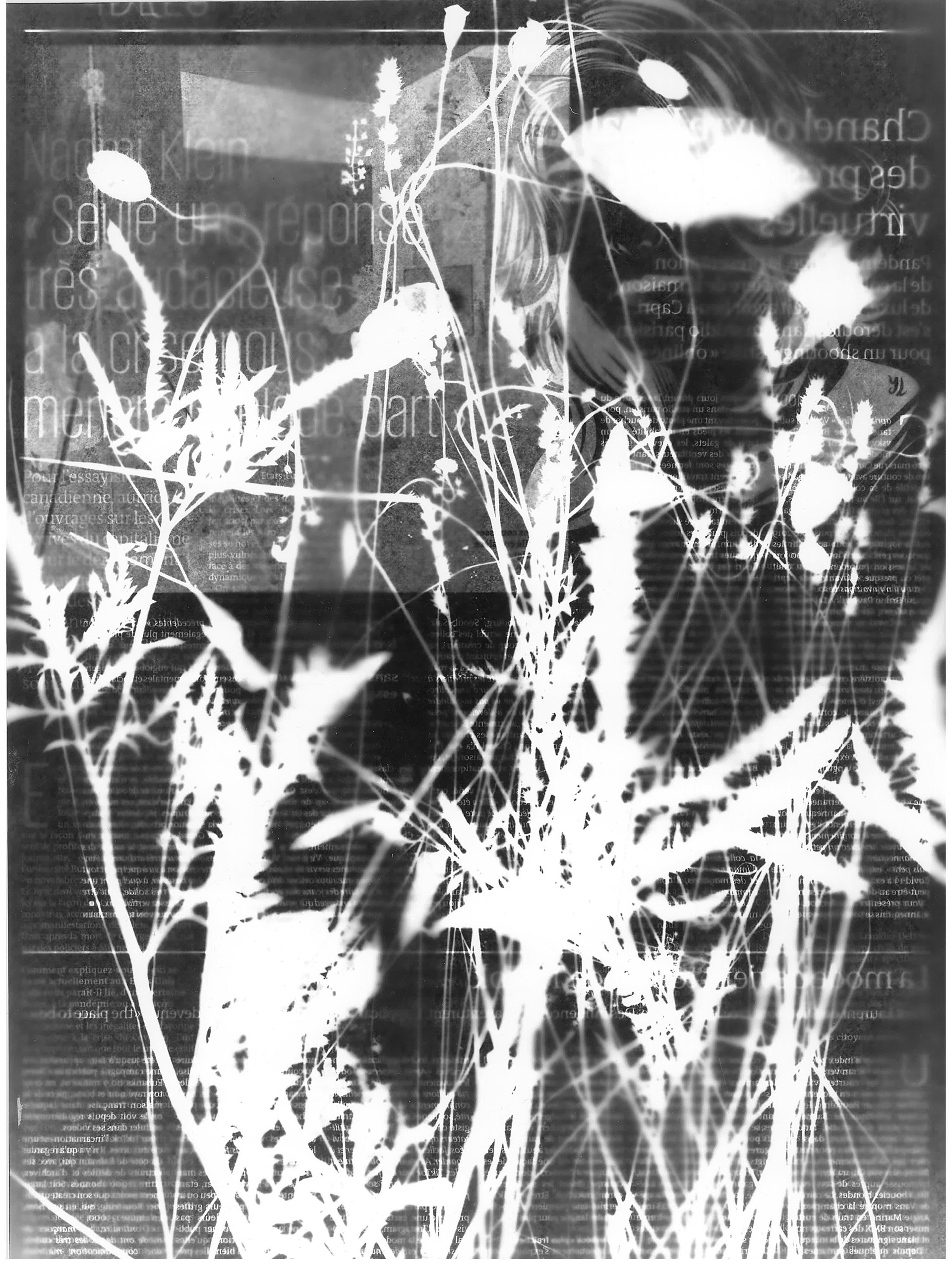 Photogramme, 2020-2021. 29,5 x 39,5 cm. Tirage unique sur papier Ilford