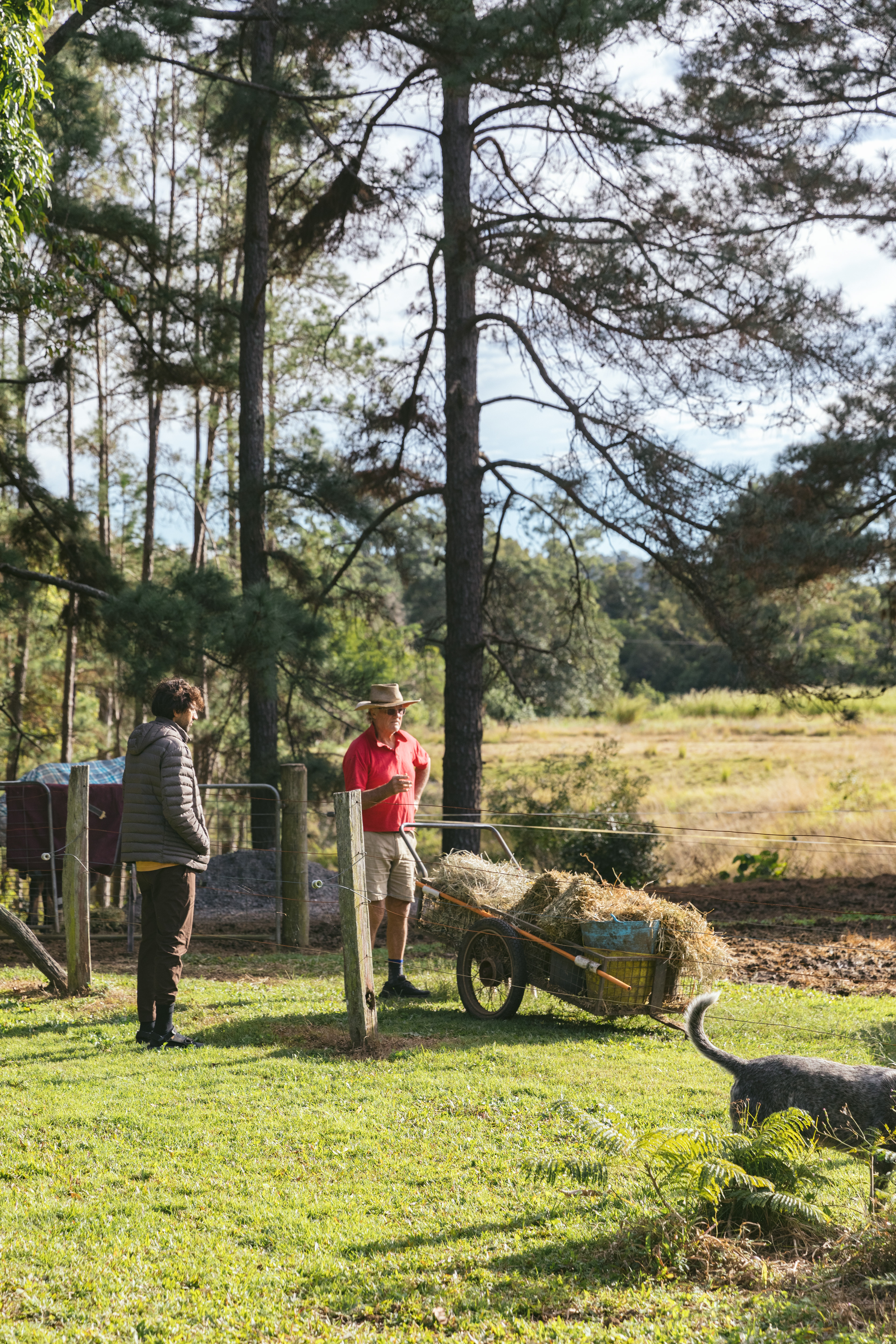 Palmwoods Horse / Farm Camping, Queensland