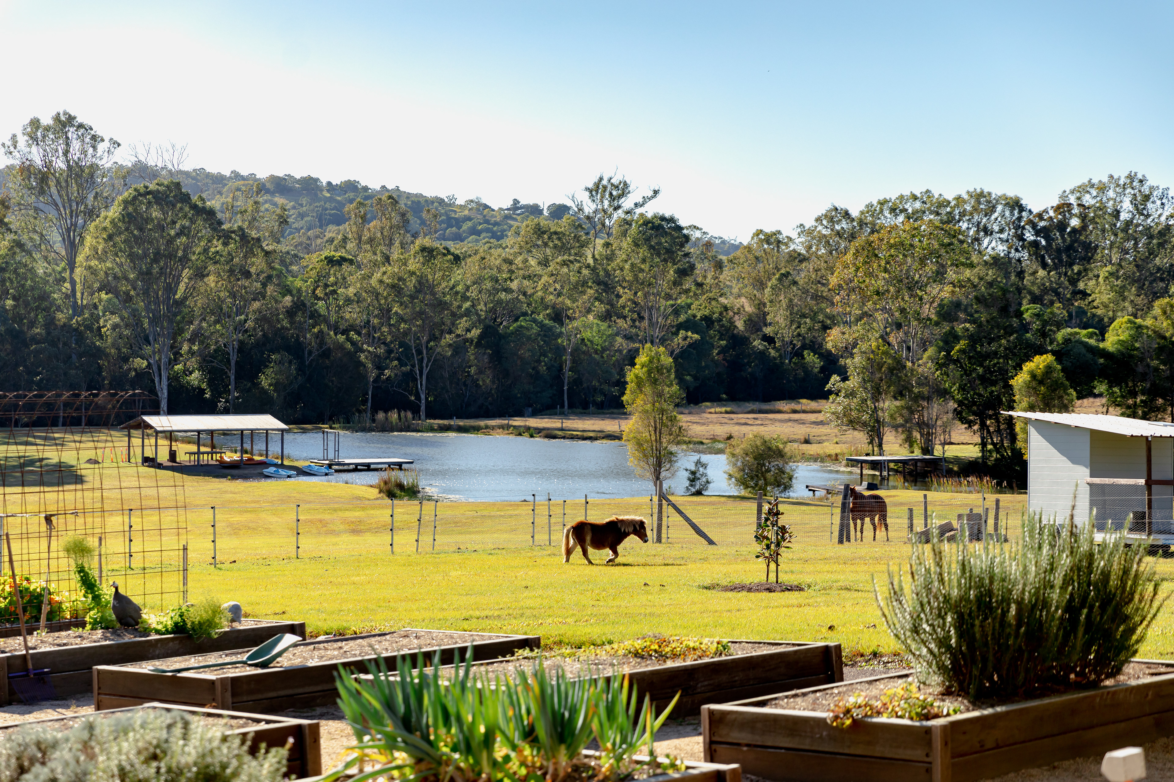 Woollahra Homestead - Farm Stay, Queensland