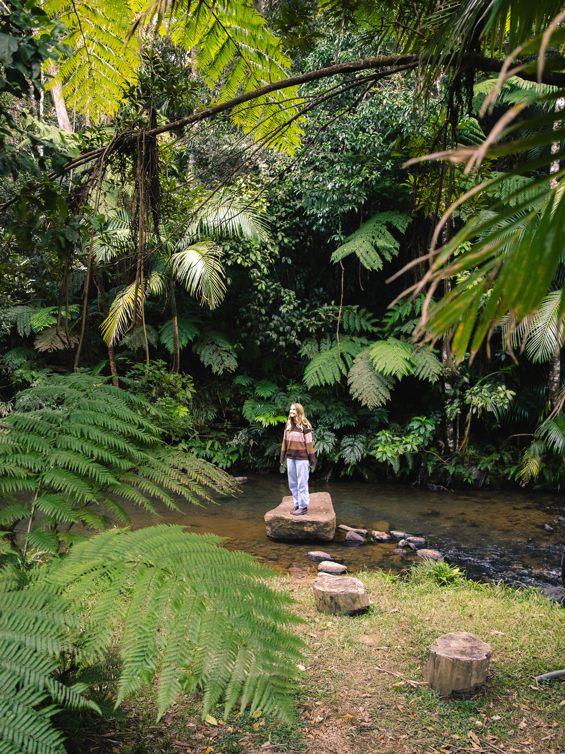 Dalrymple Heights Rainforest Stay, Queensland