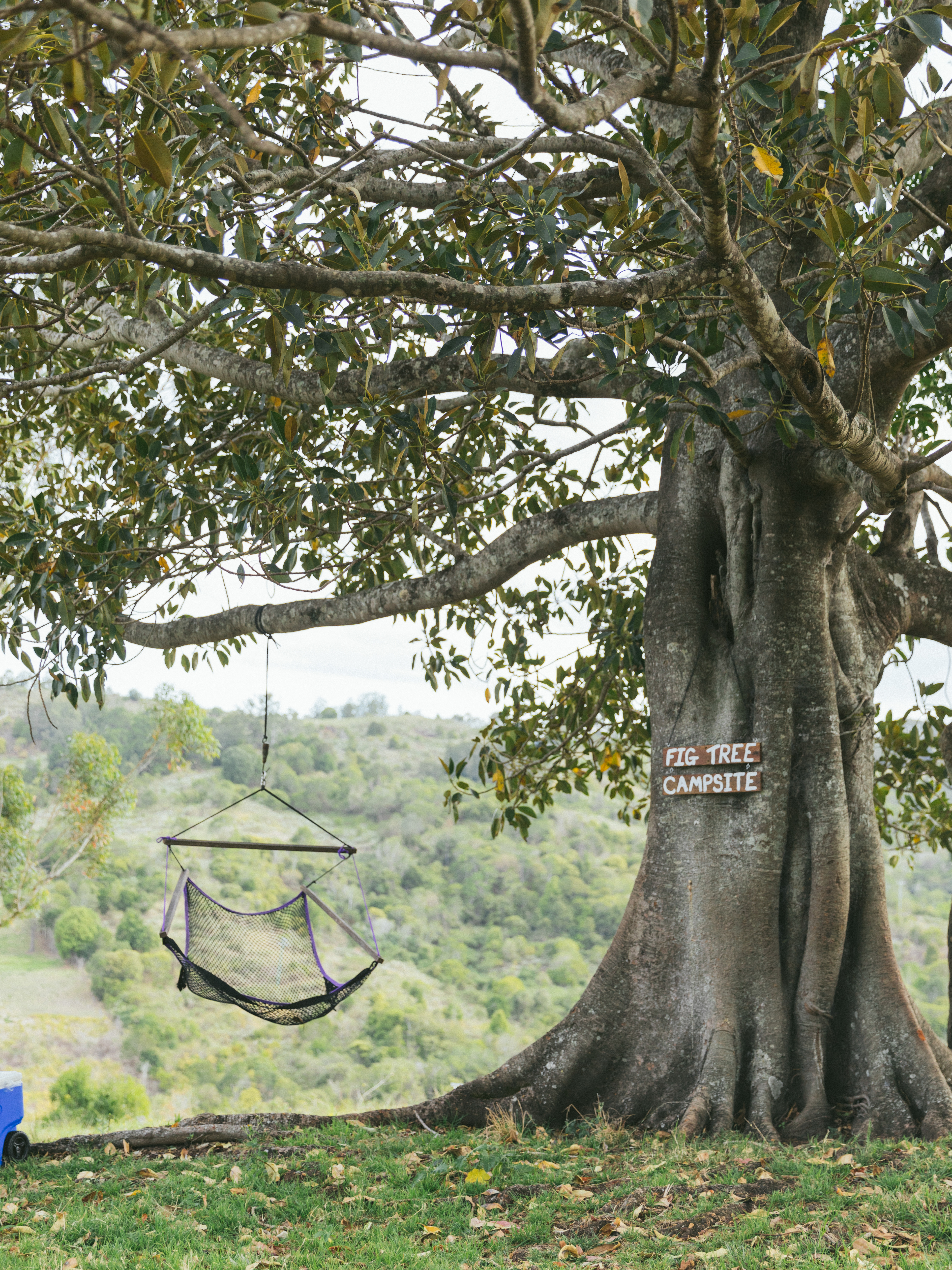 Oakey Ridge, New South Wales