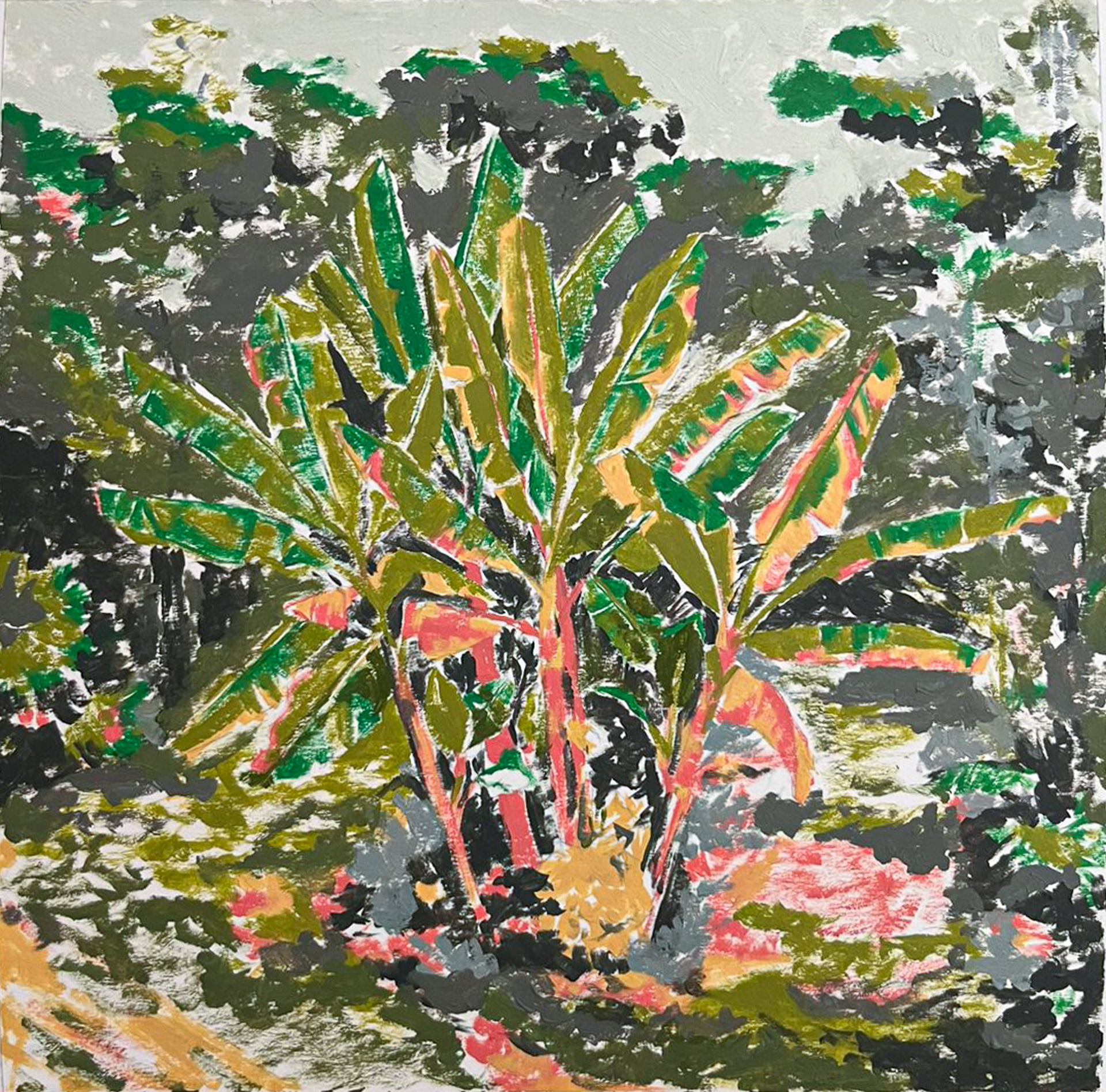Material: Oil on paper Dimensions: 20 cm x 20 cm Year 2024