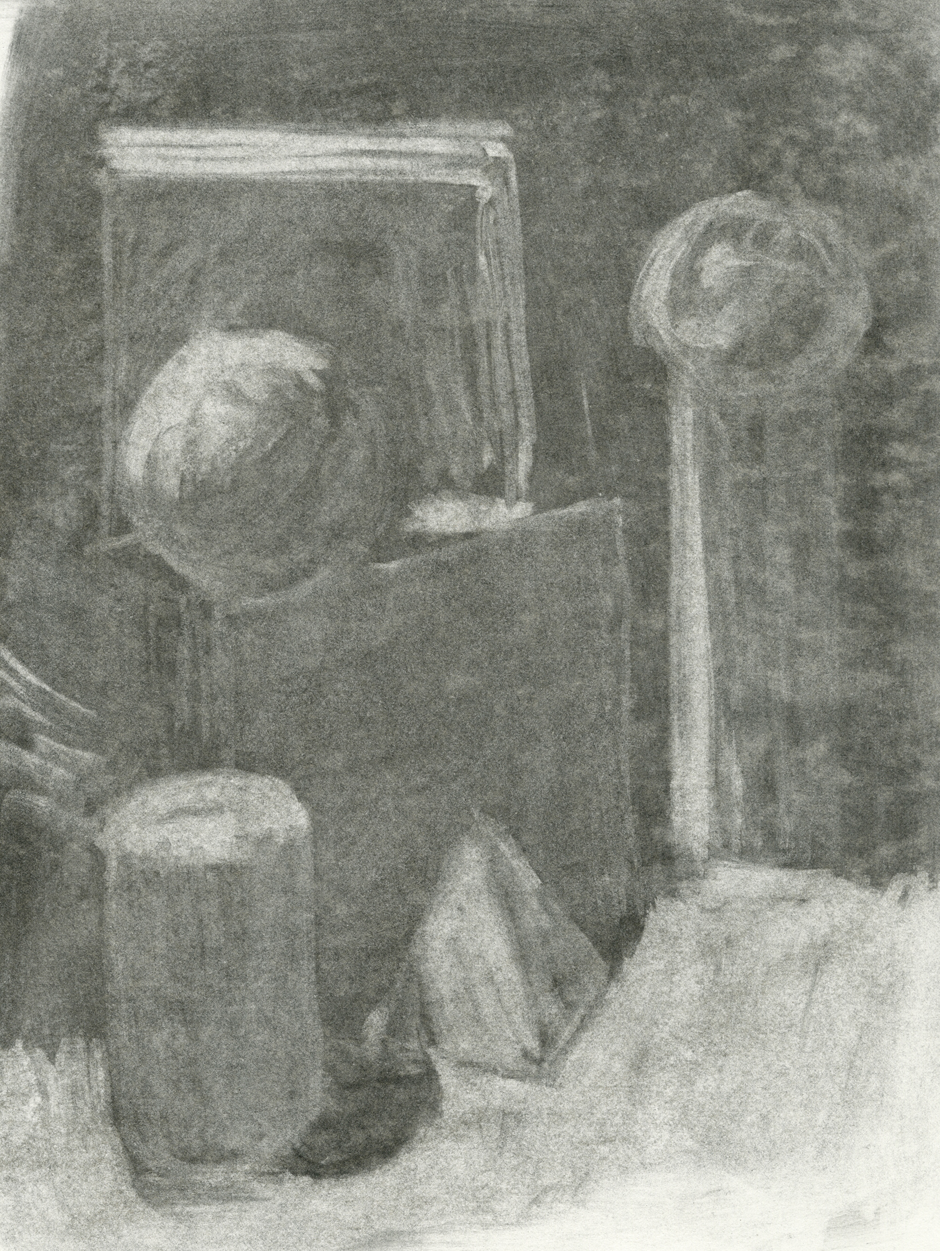 Still Life Charcoal