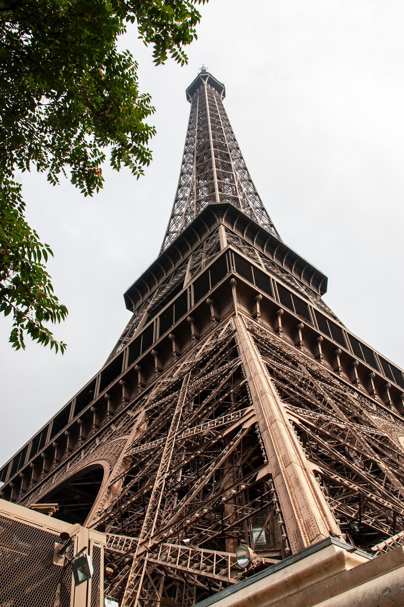 A dramatic low-angle view of the Eiffel Tower's intricate iron lattice structure against a bright sky, framed by green leaves in Paris, France.