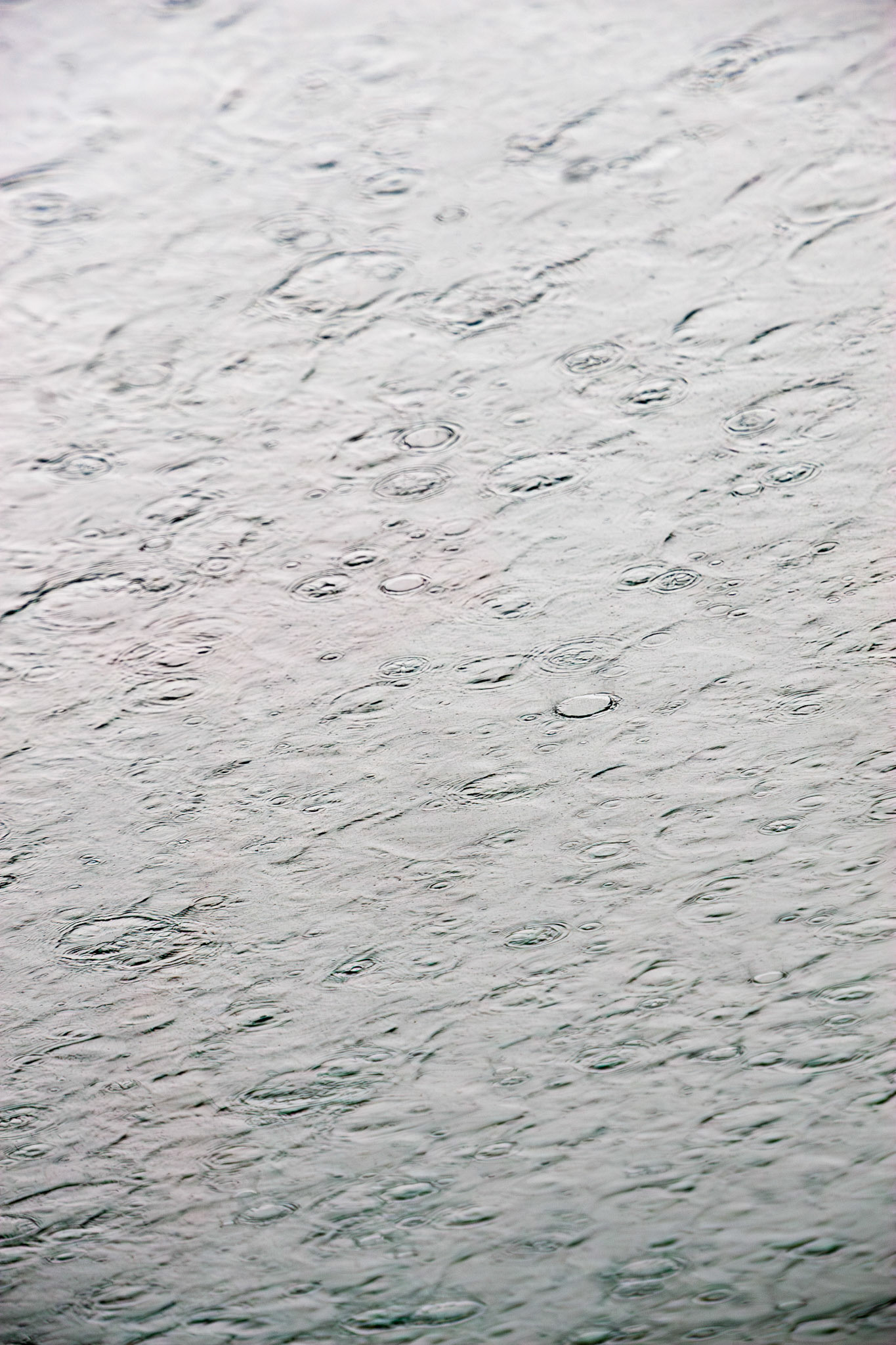 A vertical, close-up shot of raindrops falling onto a body of water, creating a dense pattern of interlocking circular ripples and concentric rings. The overcast lighting gives the water a soft, silvery-grey palette, emphasizing the texture of the liquid surface during a storm.