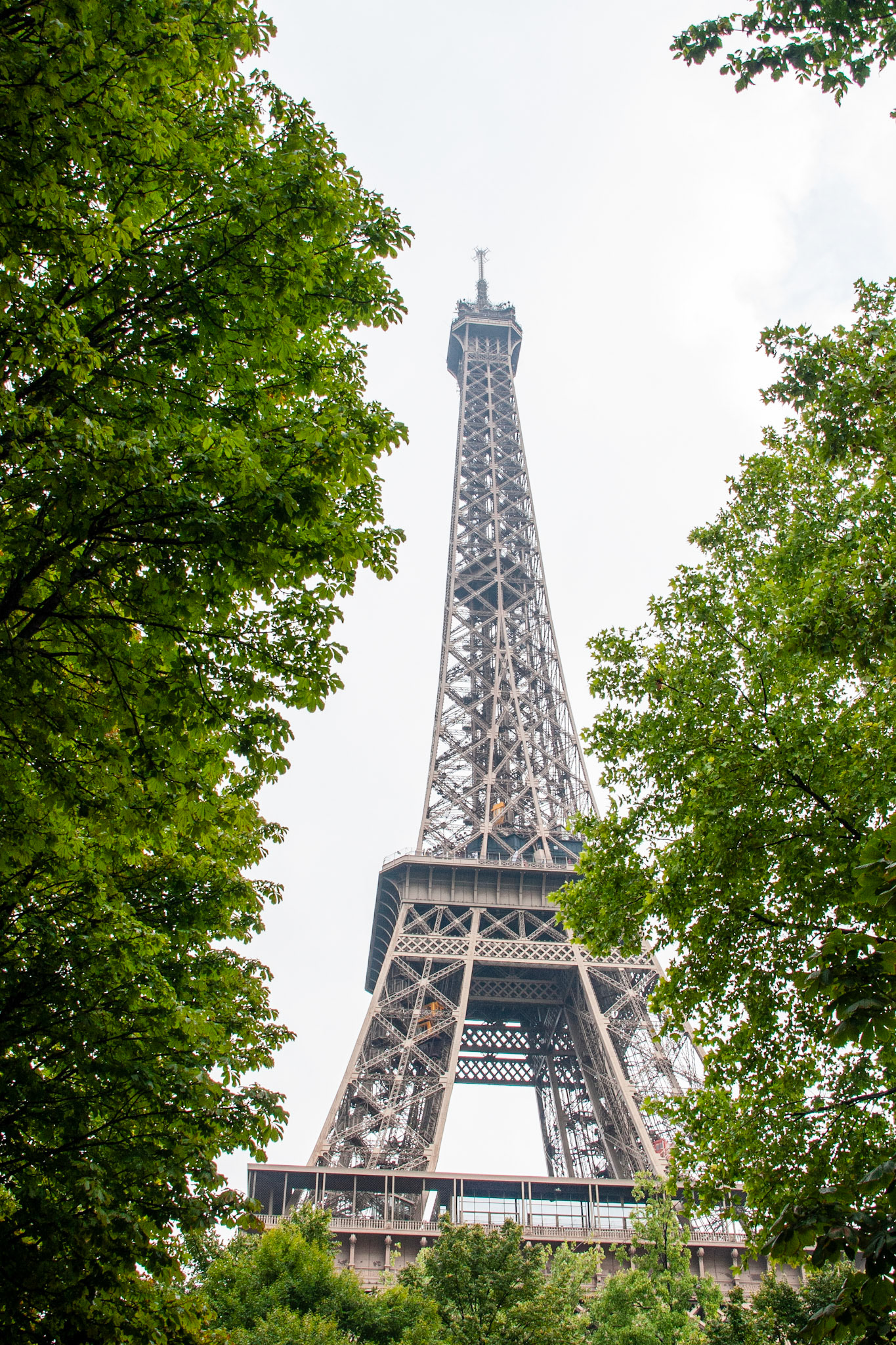 A low angle view of the iconic Eiffel Tower rising above vibrant green summer foliage against a bright overcast sky in Paris, France.