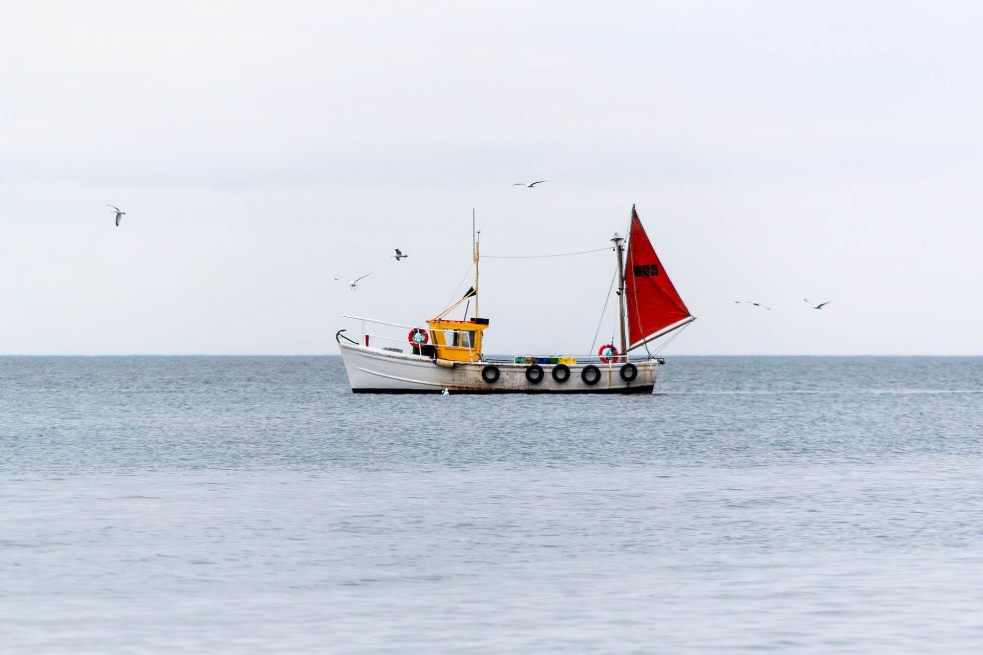 A classic white fishing boat with a distinctive red sail and yellow cabin cruises through the calm grey waters off the coast of Howth, Dublin, surrounded by seagulls under an overcast sky.