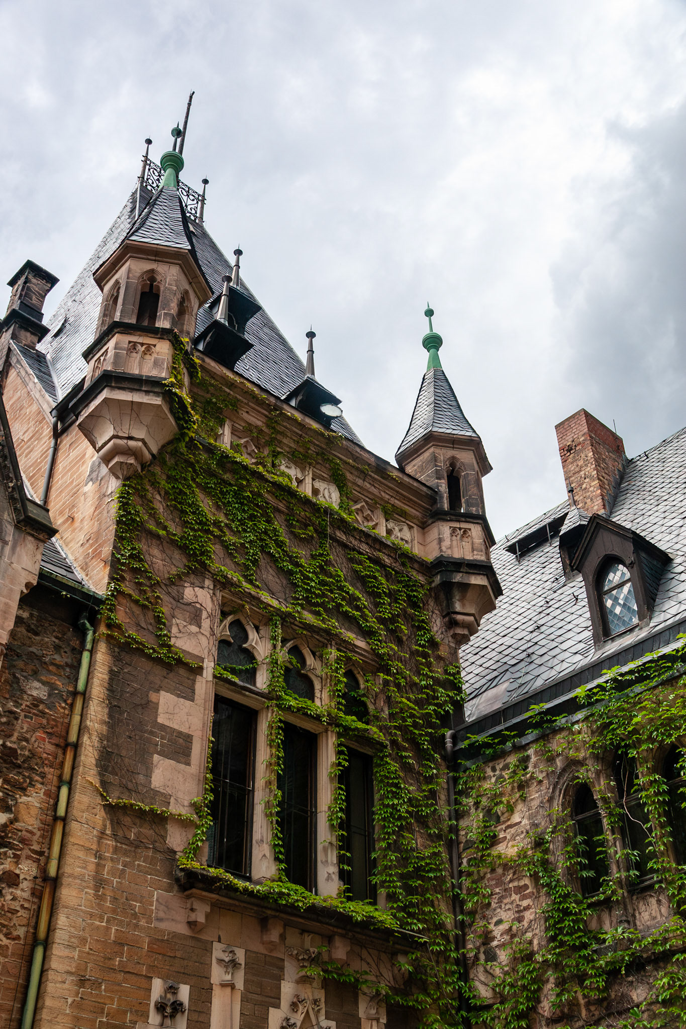 An intricate view of the Wernigerode Castle exterior in Germany, featuring neo-Gothic stone masonry, narrow arched windows, and lush green ivy climbing the historic walls toward pointed slate-roofed turrets.