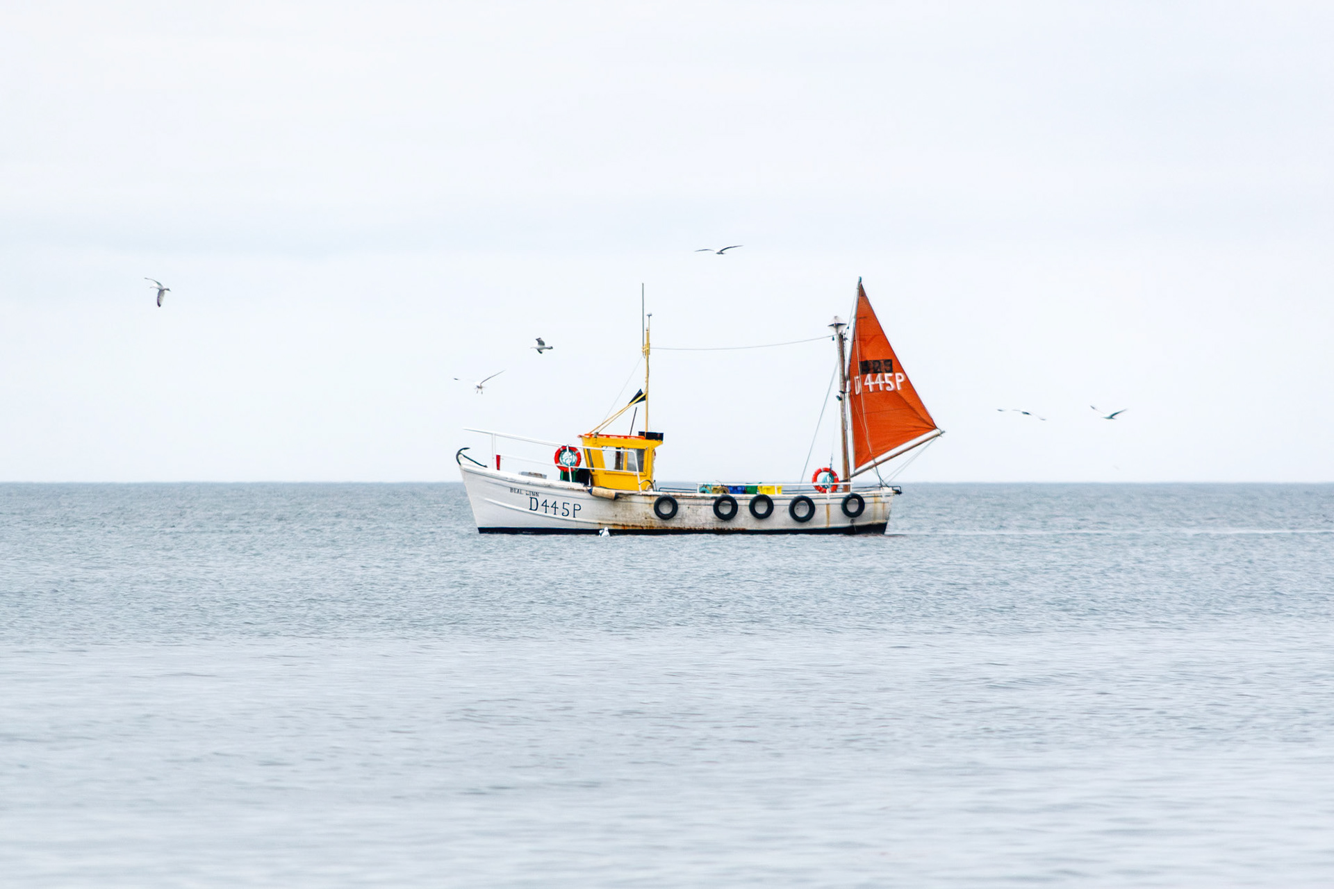 Fishing boat sailing on calm water