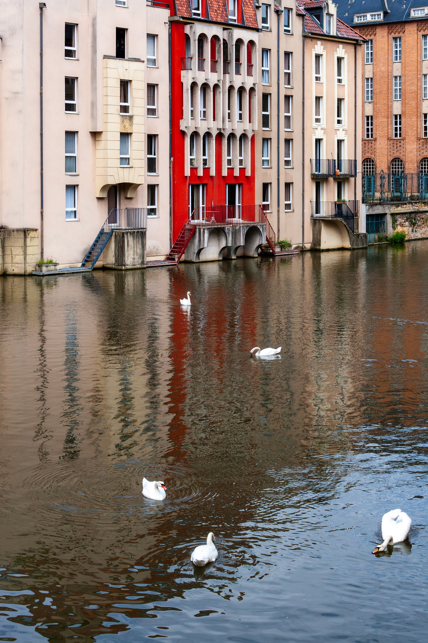 A group of elegant white swans swims peacefully on the calm waters of the Moselle River in Metz, France. The background features a striking row of riverside residential buildings, including a vibrant red facade with unique arched balconies, reflecting beautifully in the water.