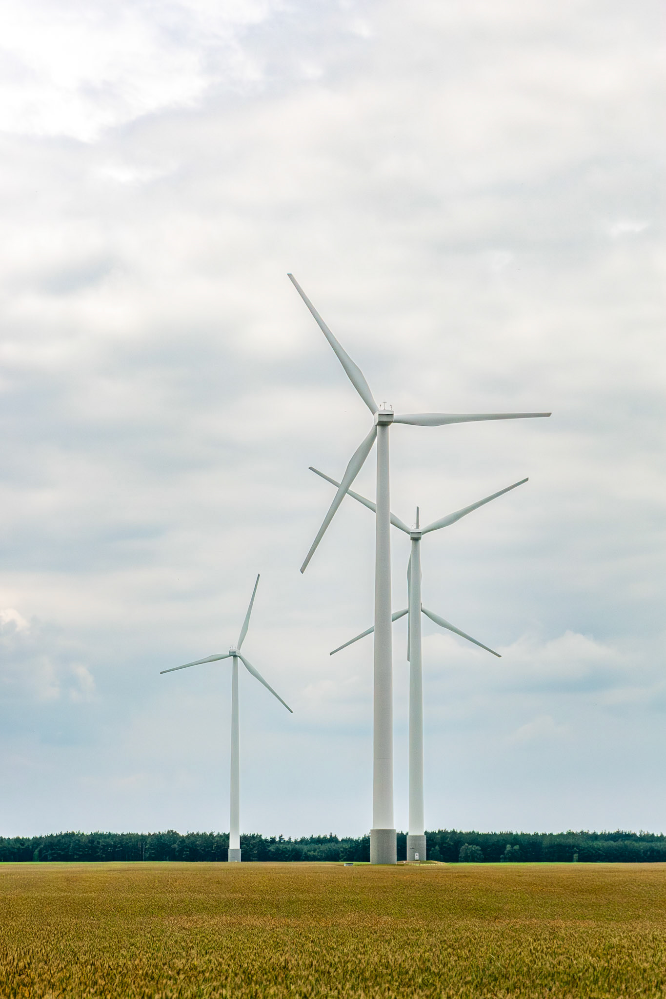 Three large, modern white wind turbines stand tall in a vast, golden wheat field in the Görlitz region of Germany, generating renewable energy under a soft, cloudy sky.