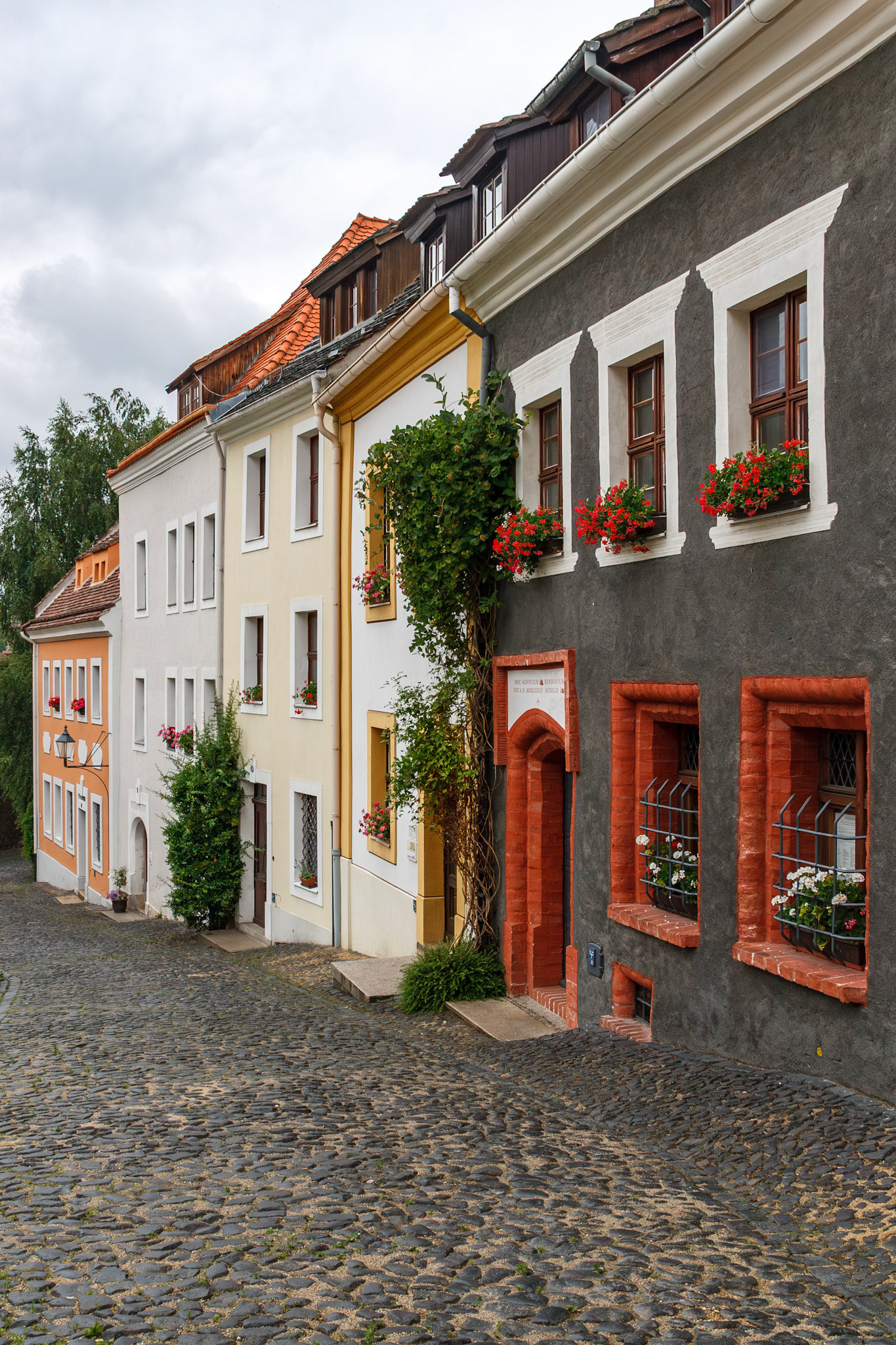 Historic colorful houses lining a cobblestone street