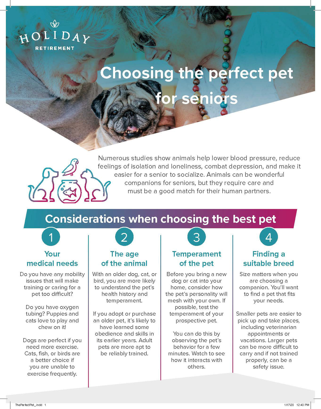 Pets Infographic