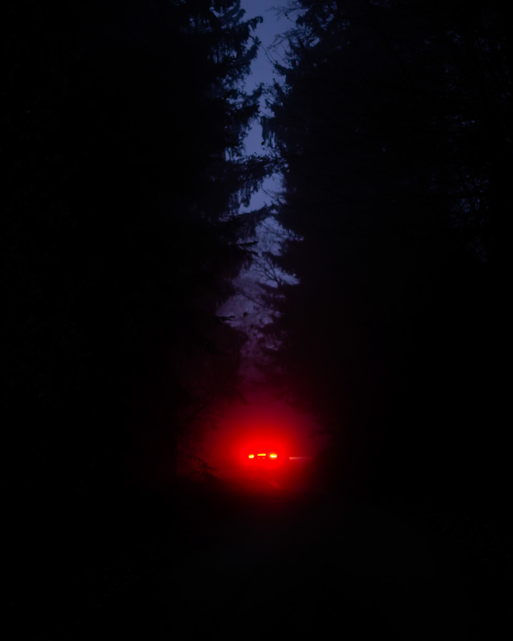 RLAND | Duality