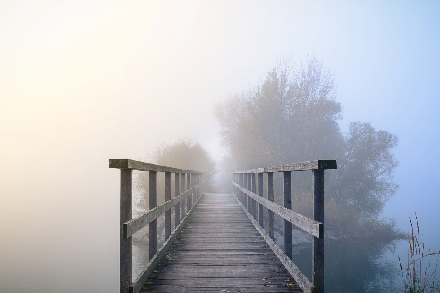 RLAND | Bridge To Afterworld