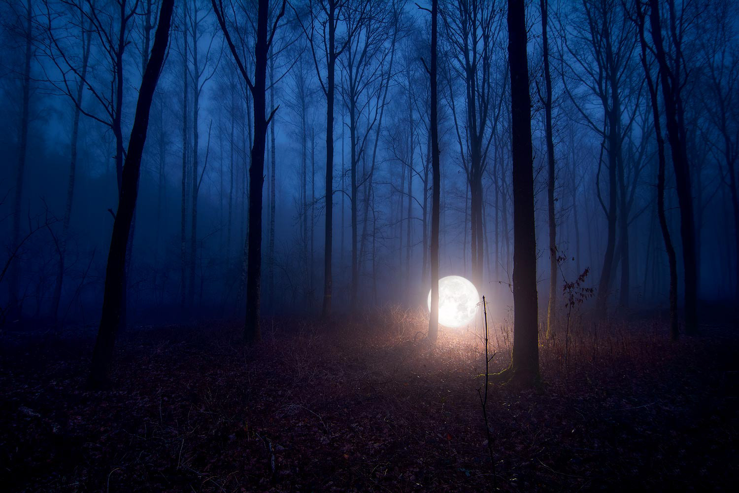 RLAND | Moon On Earth