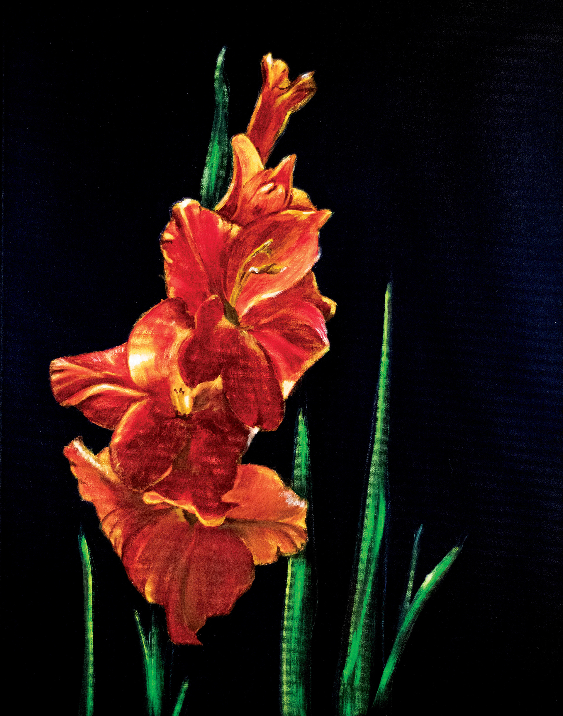 Gladiolus | Oil on canvas | 24" x 18"