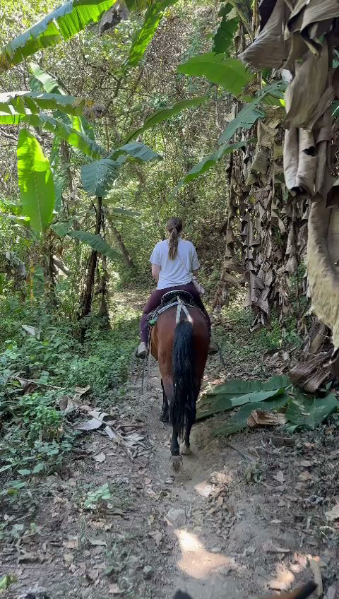 Riding to our lunch spot.