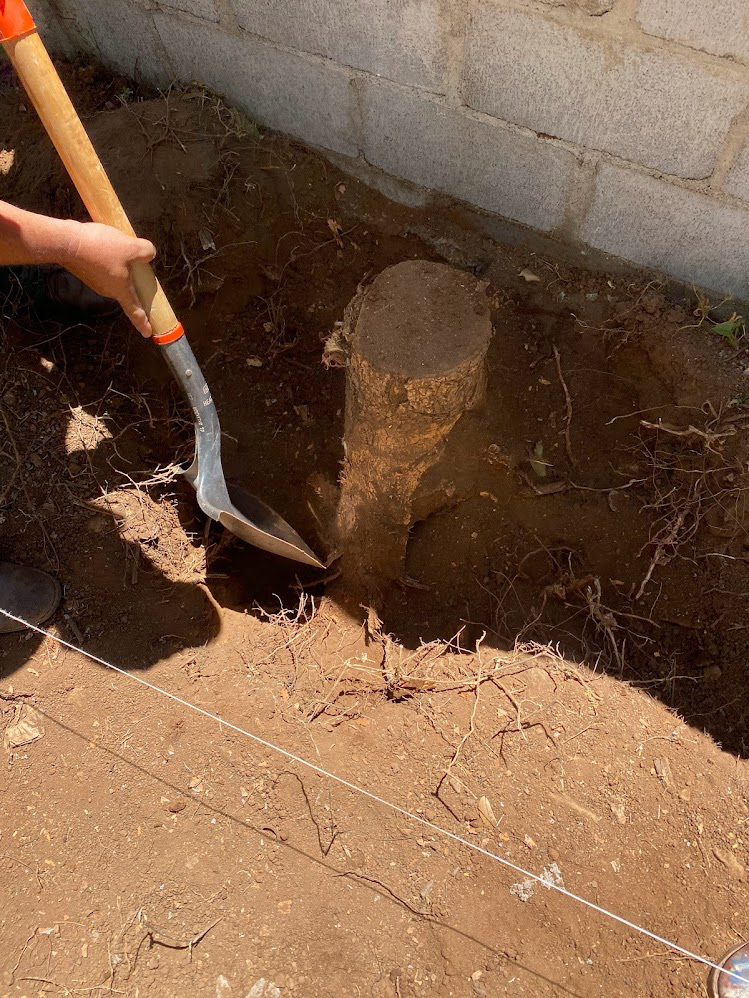 Today's mission: get this stump out