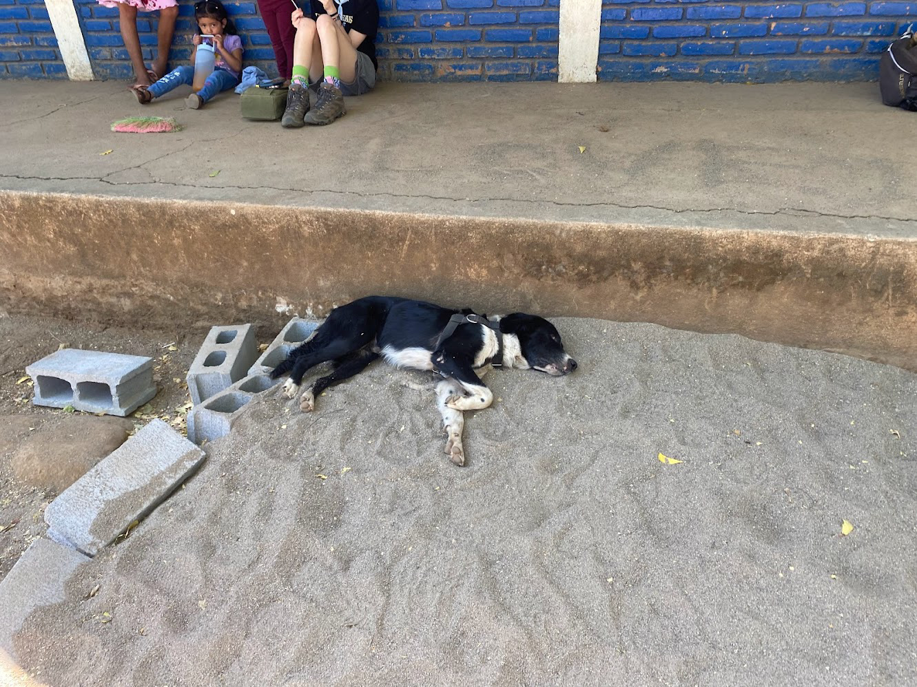 Terry's nap spot - he was here waiting for us