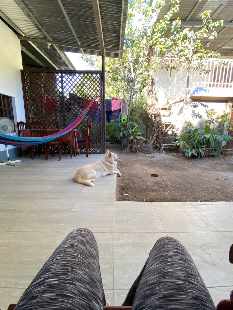 Settling in at my new house for the week.