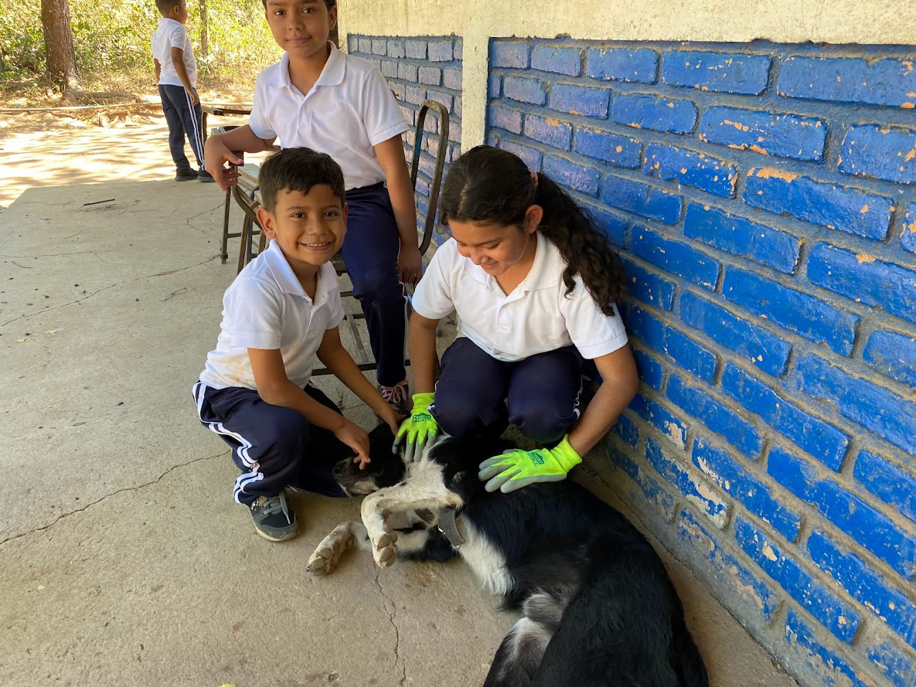 Terry the dog was a frequent visitor - he stopped by every day for pets.