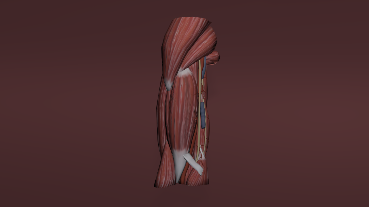Still from Animation
