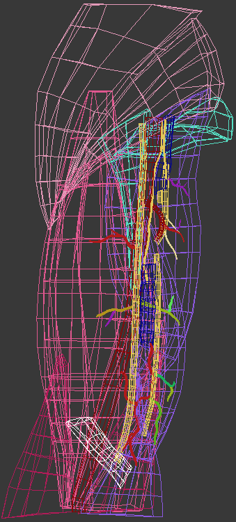 Wireframe override of arm model