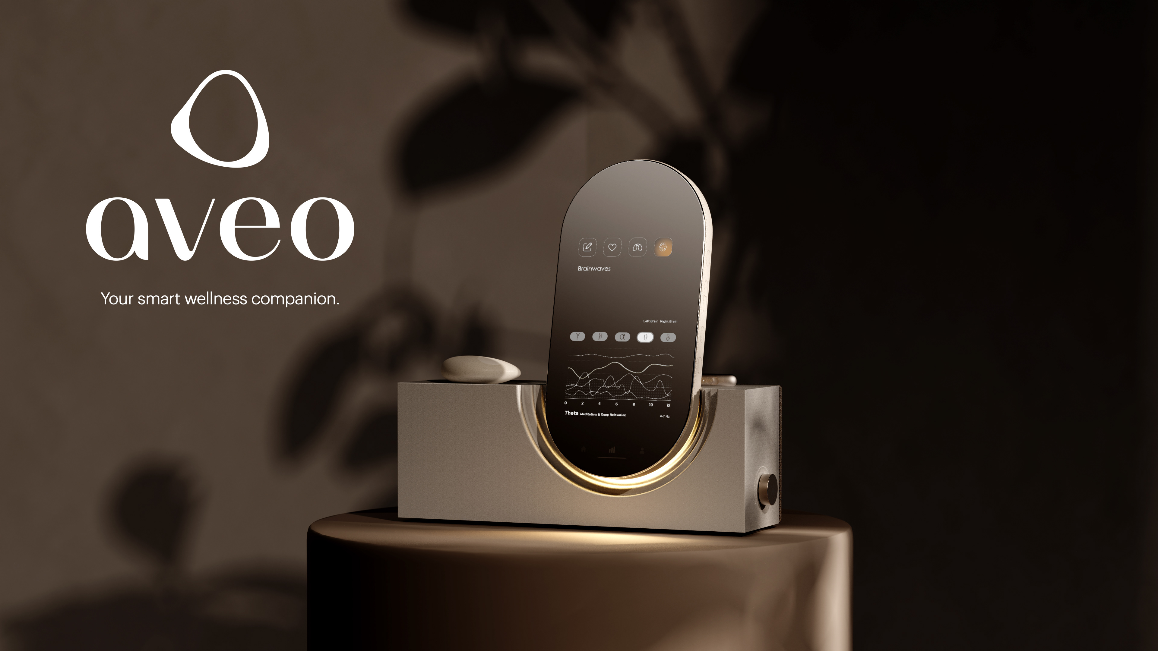 Aveo - Master's Thesis Project