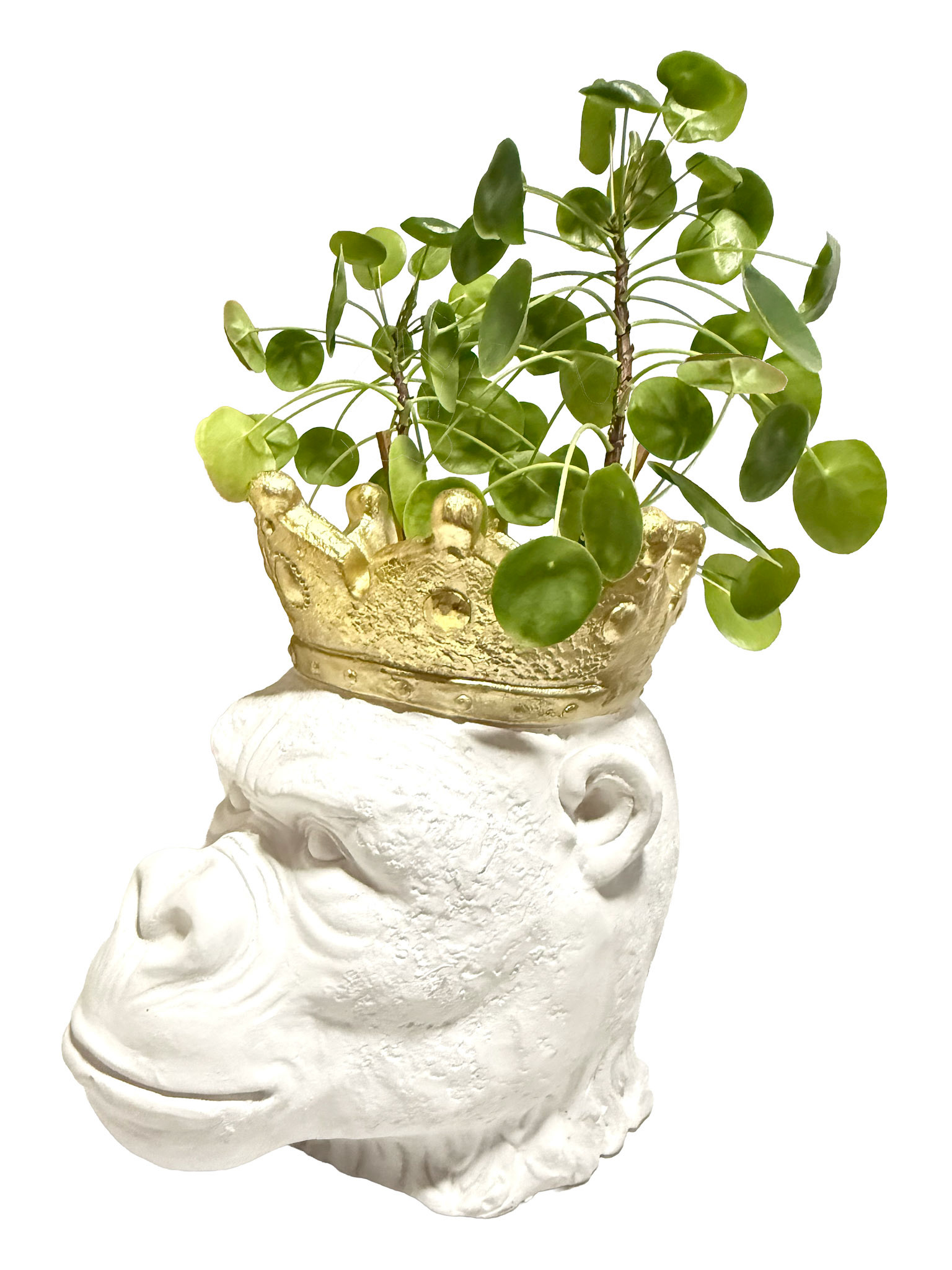 Resin Large Gorilla Planter With Gold Crown (Height: 9 in)