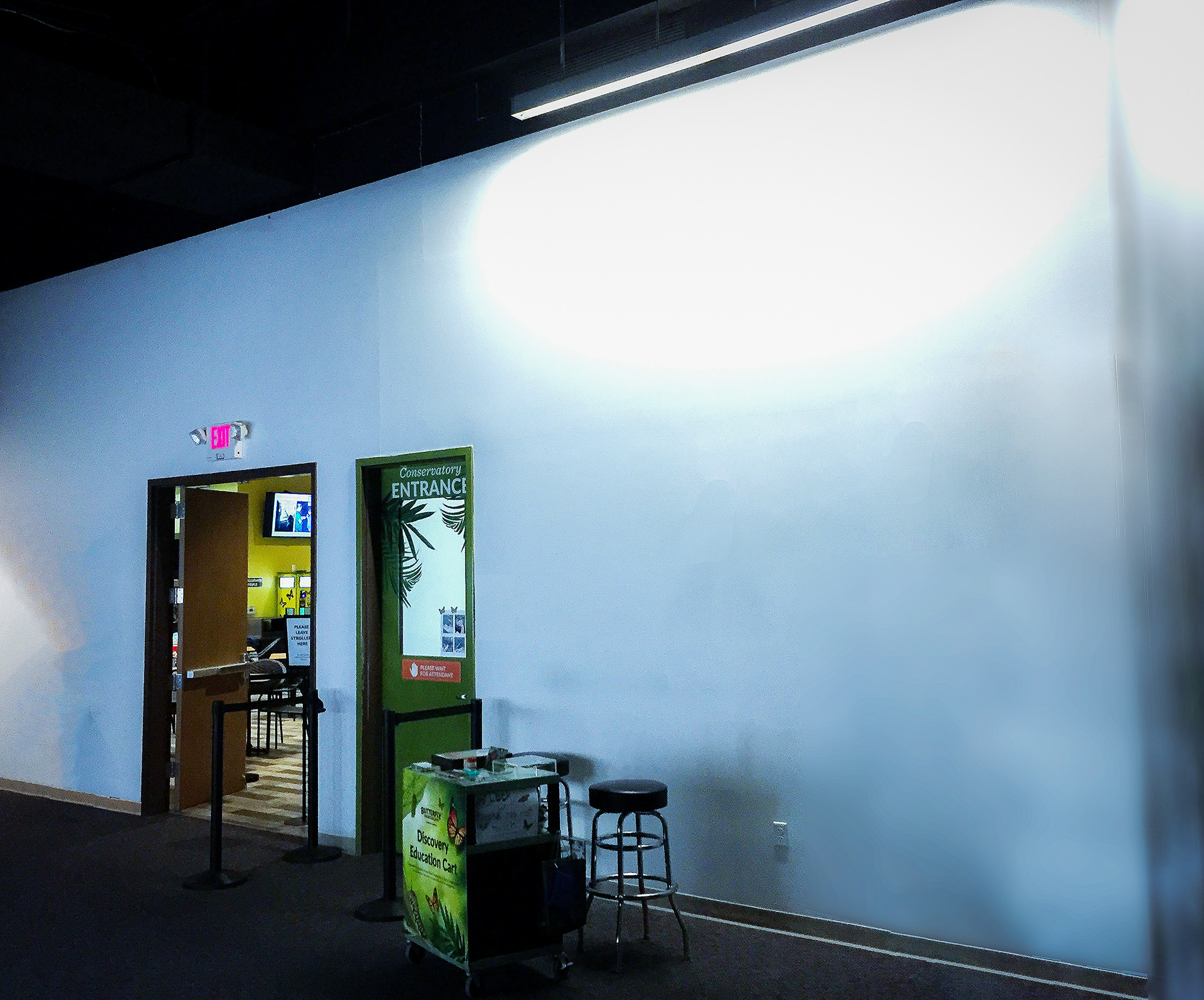 Butterfly Wonderland - Emergence Gallery | Before