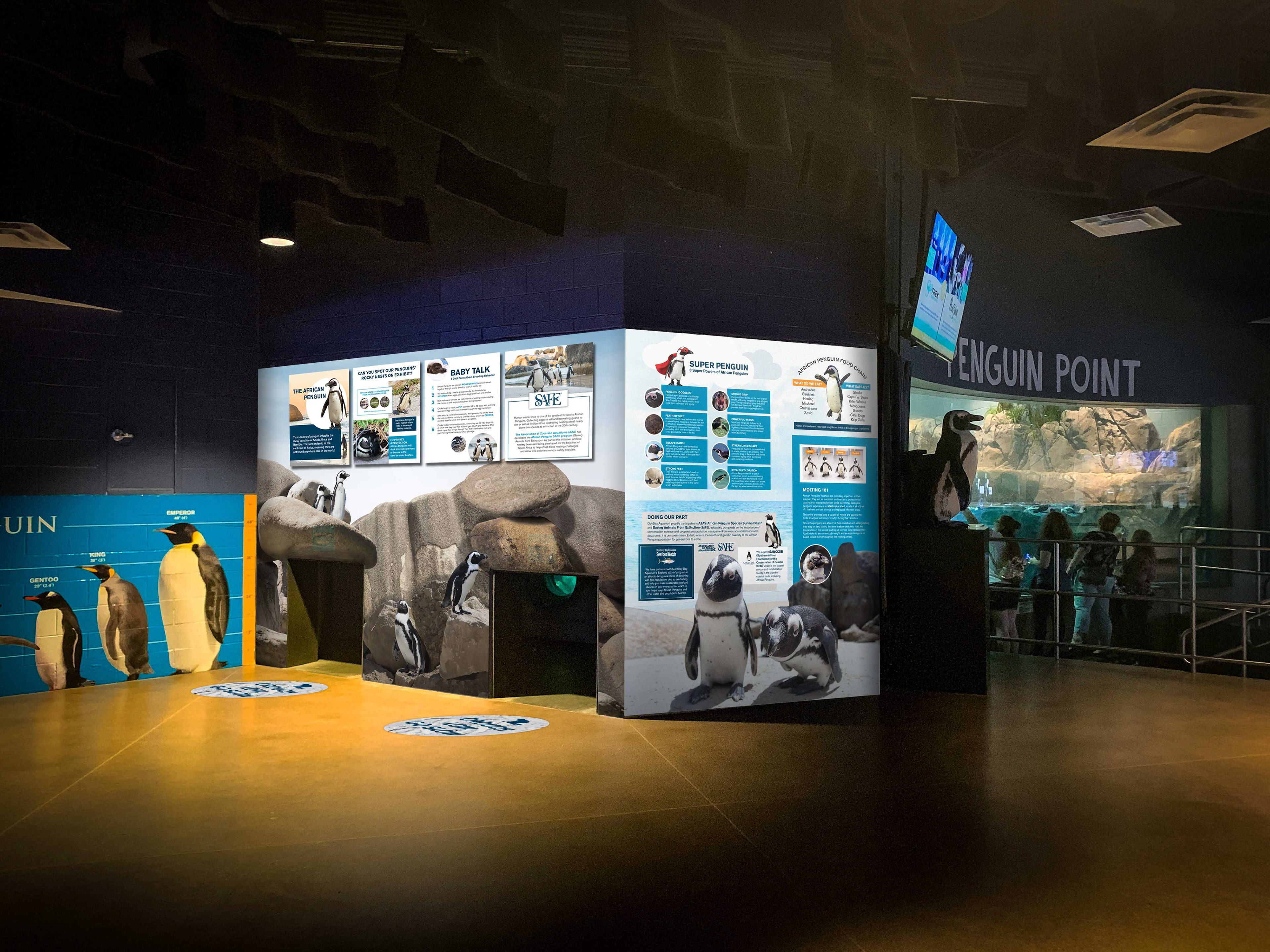 OdySea Aquarium - Penguin Point | After