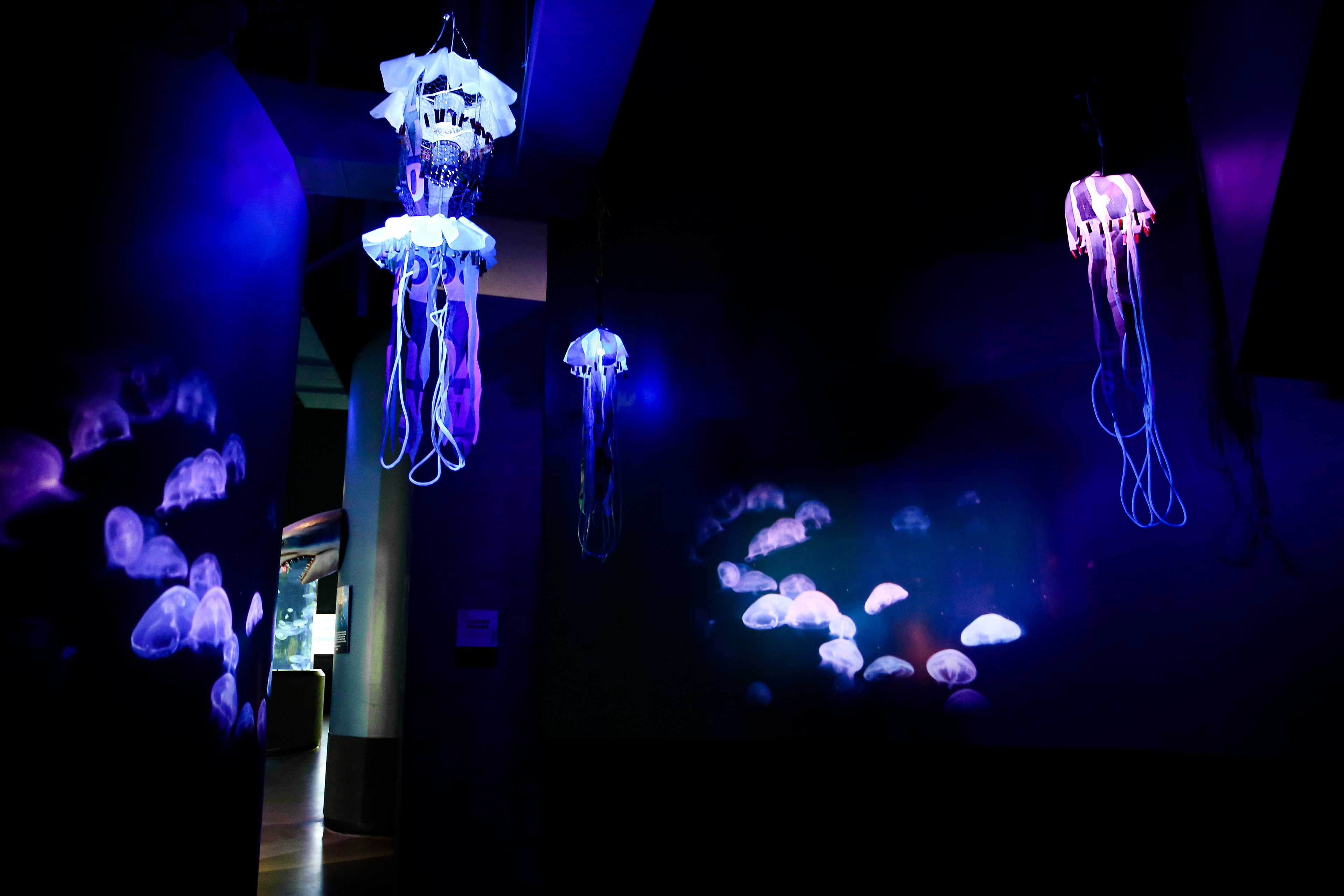 OdySea Aquarium - Jellyfish Cove | Art Installation