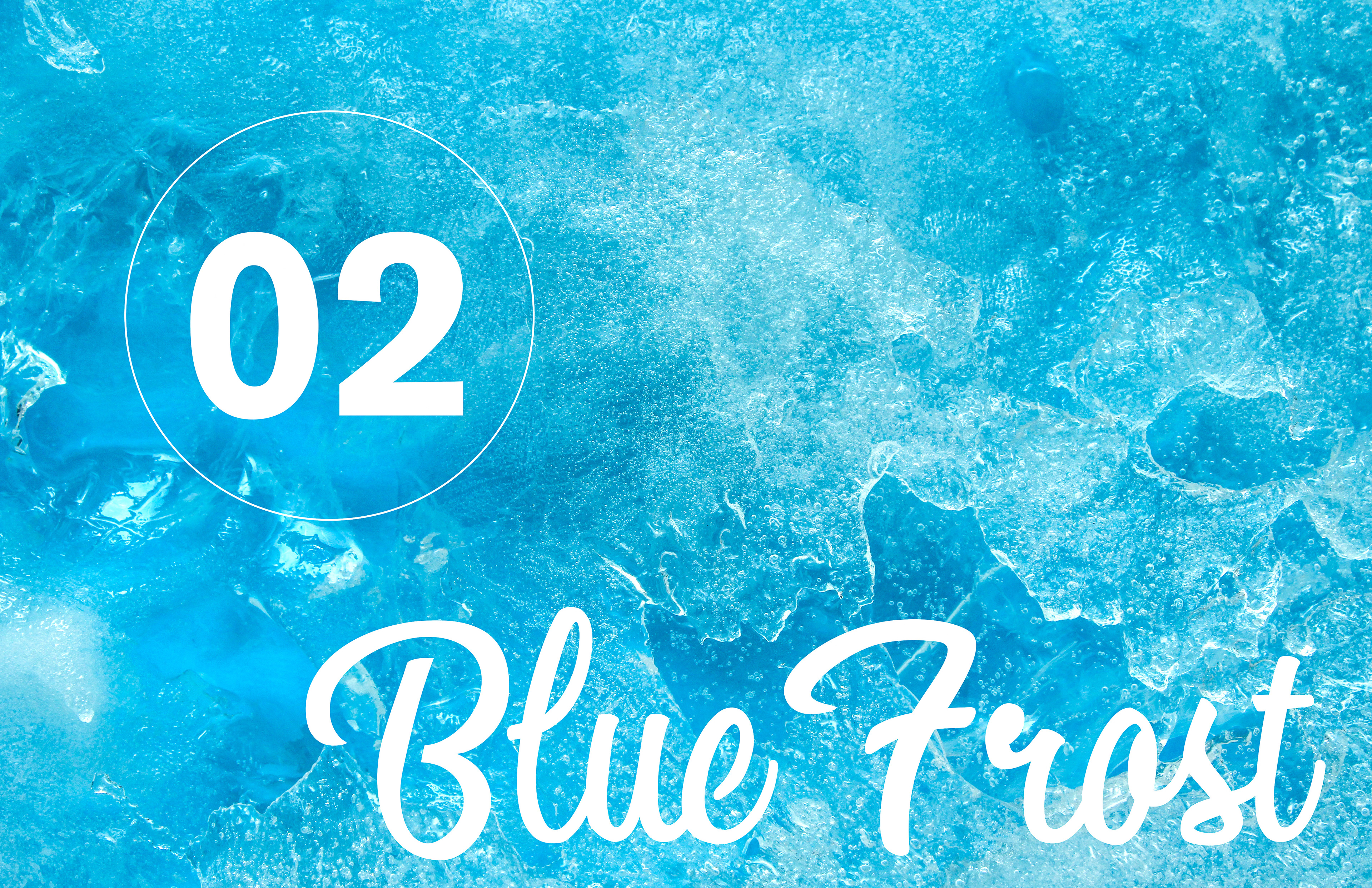 Concept 2 | Blue Frost