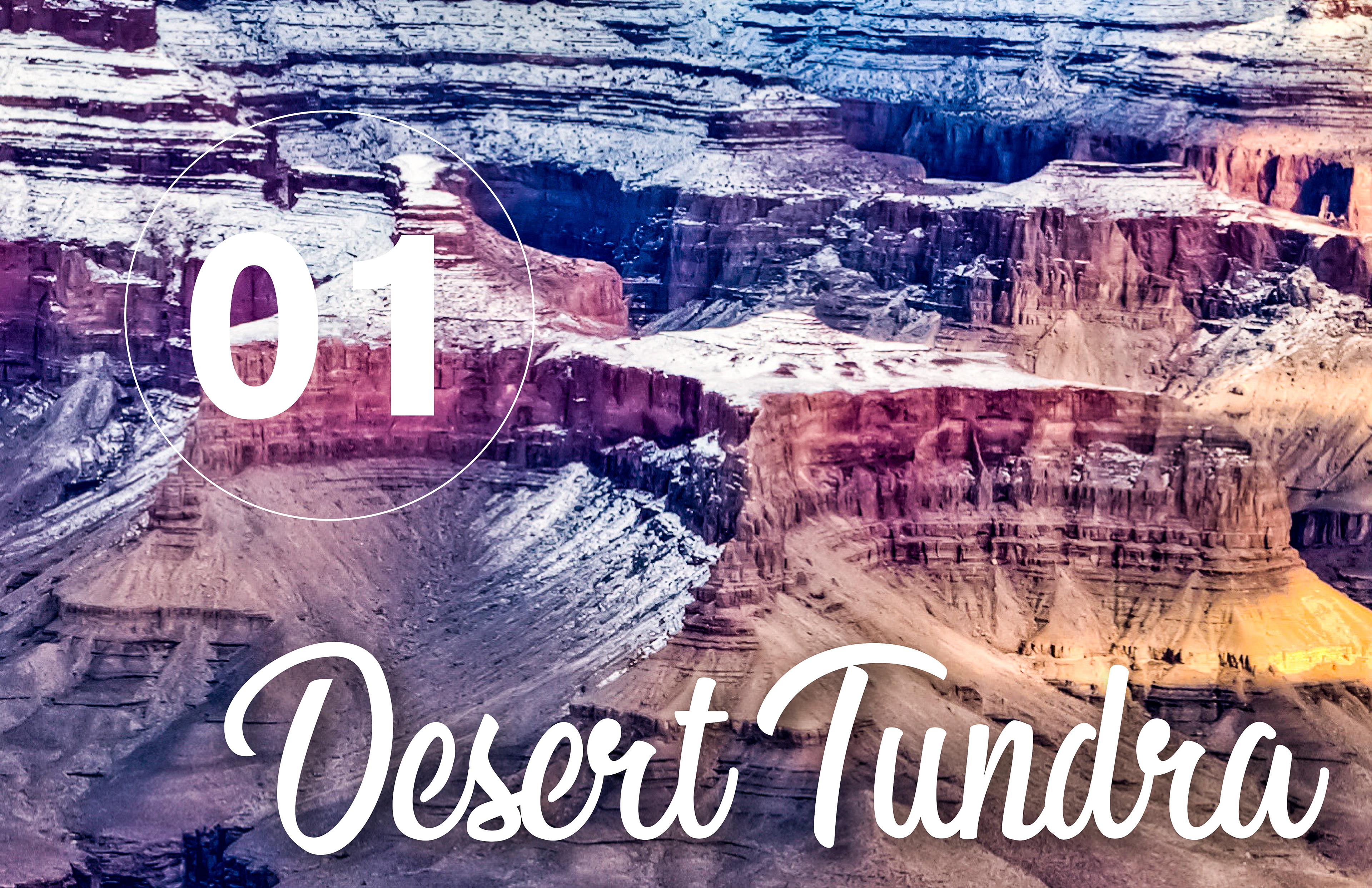 Concept 1 | Desert Tundra