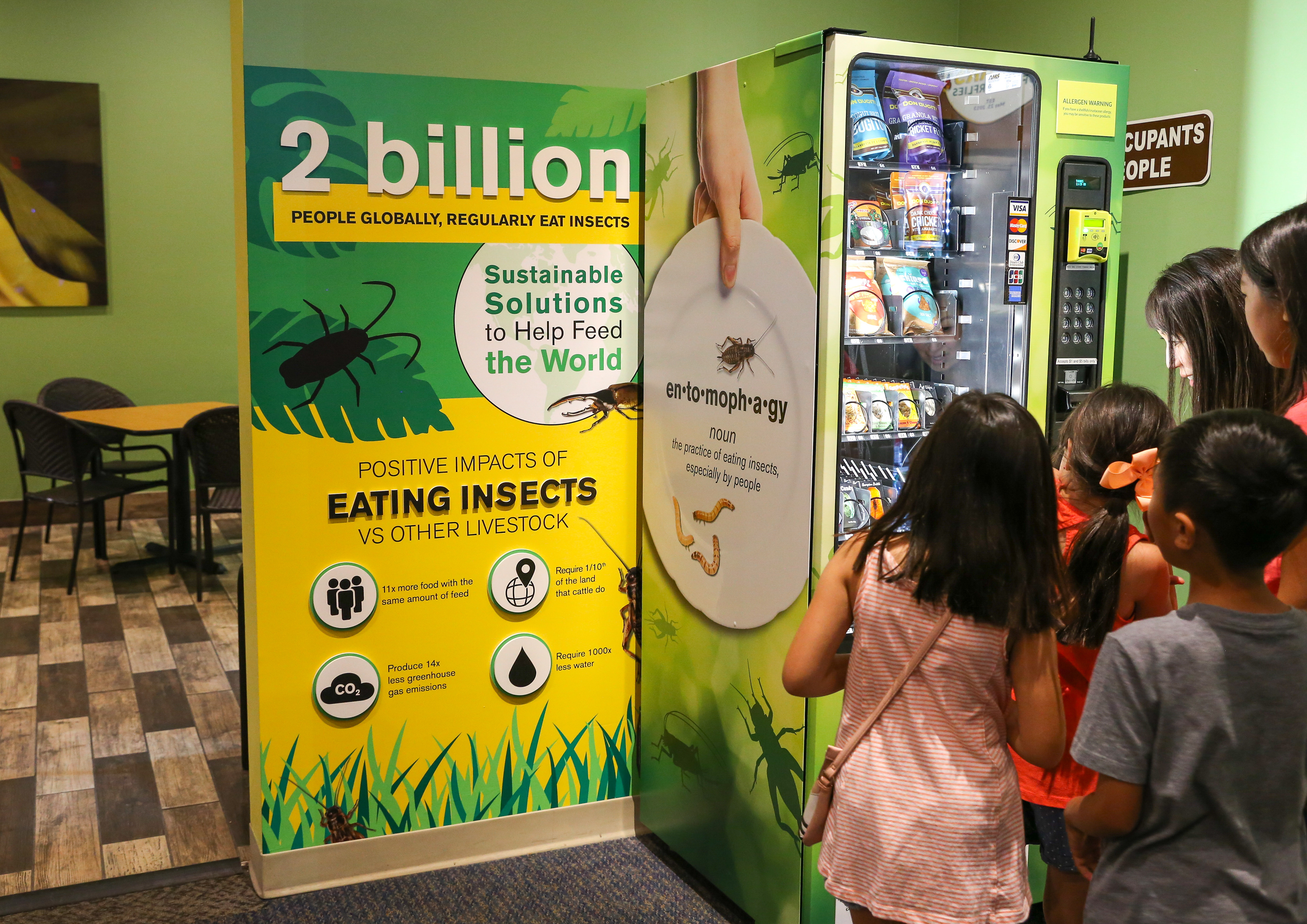 Bug Vending Machine | Final Design