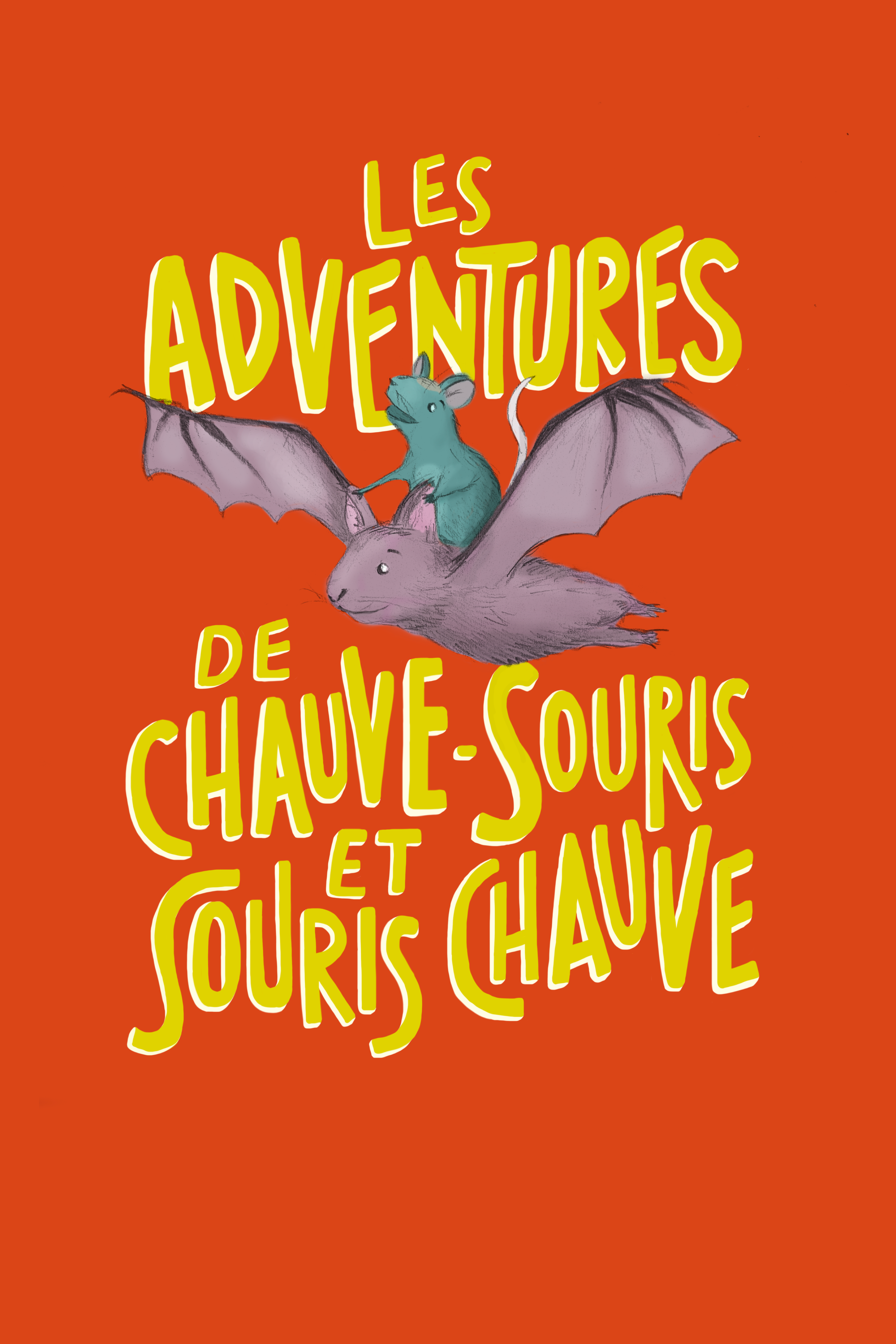 Book Cover (French side)