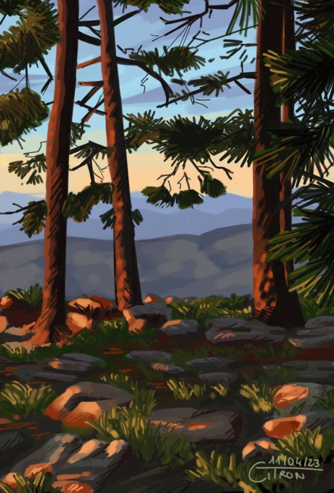 LANDSCAPE