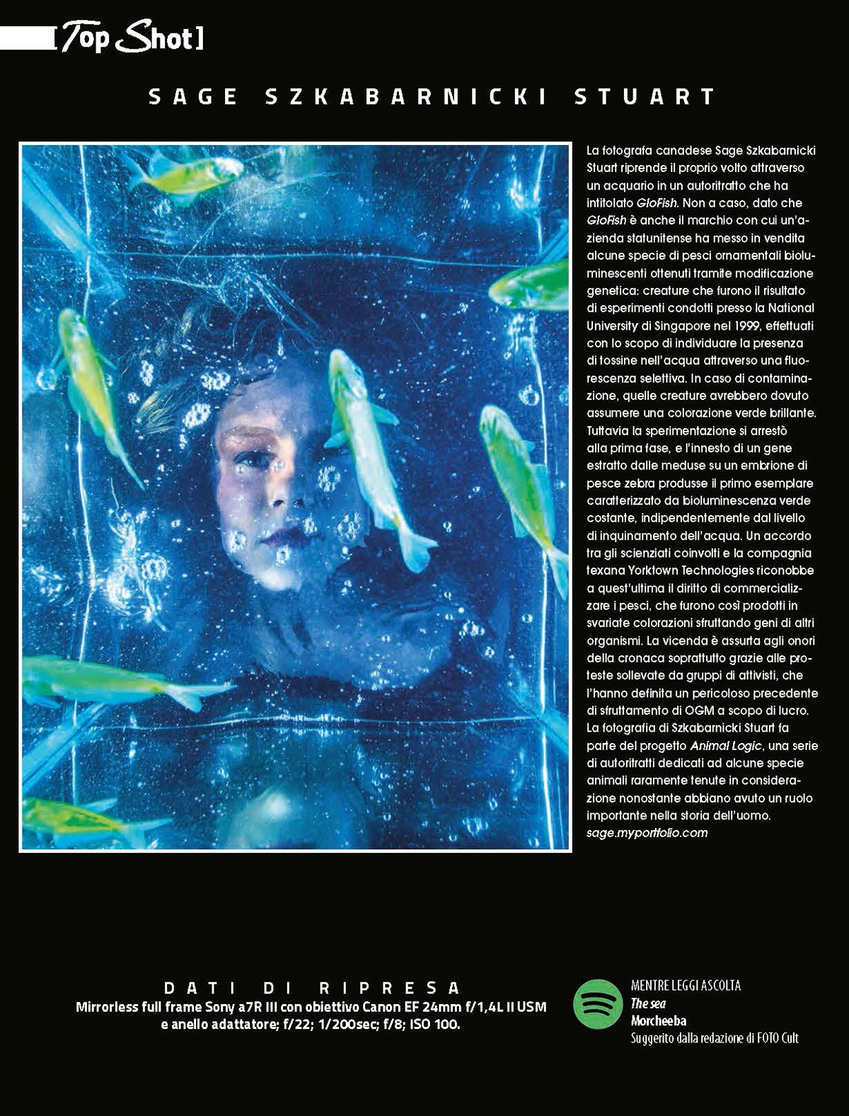 fotoCULT magazine (article)