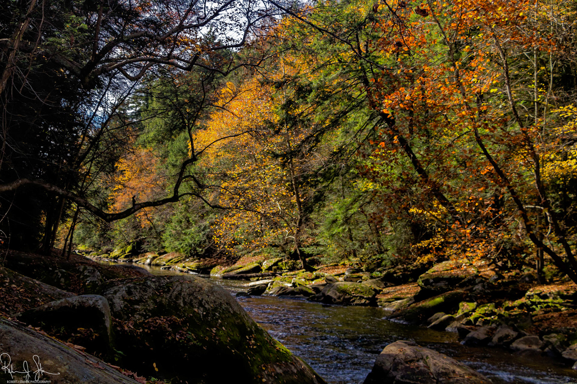 Slippery Rock Creek