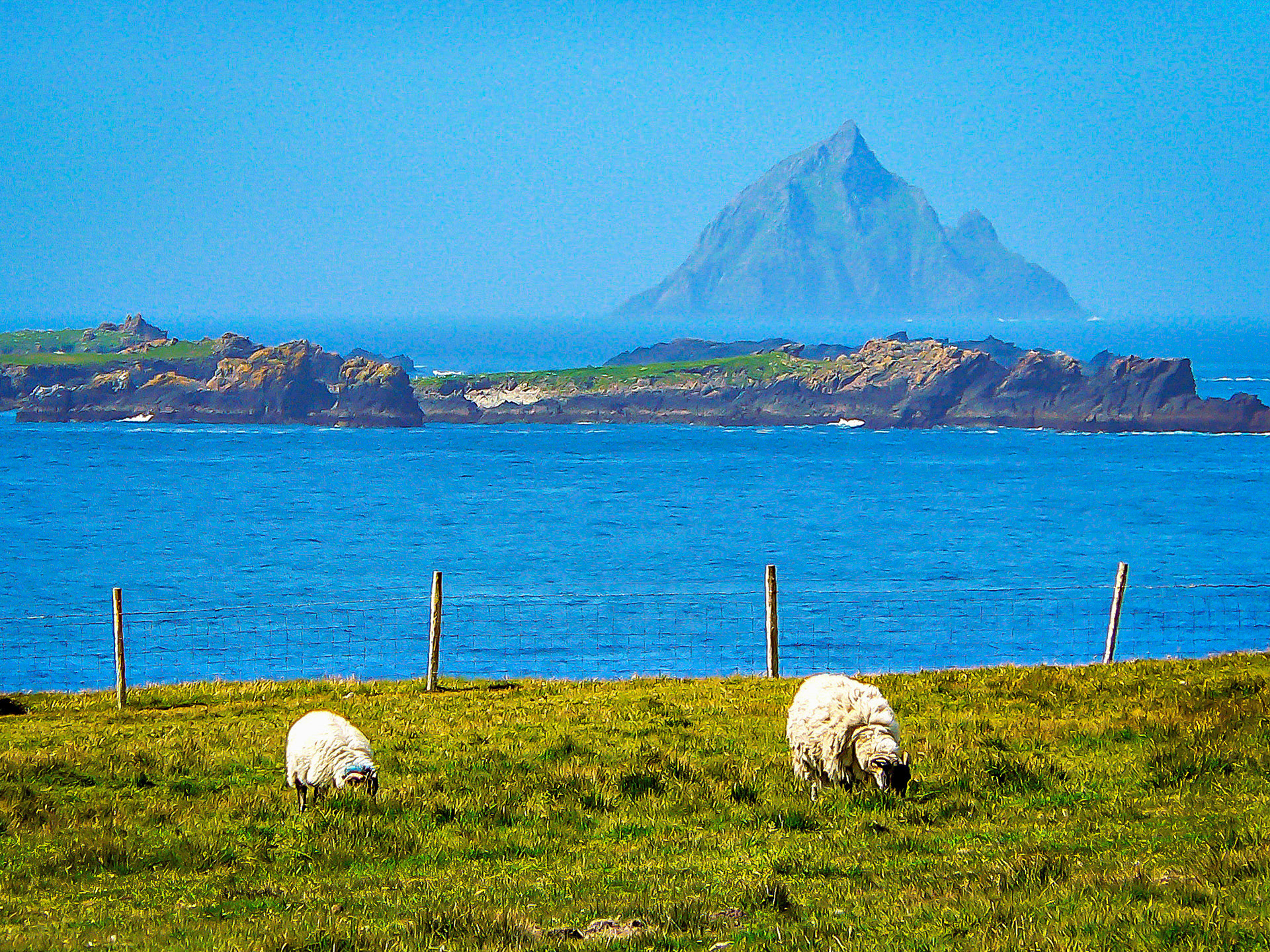 Ireland 2006