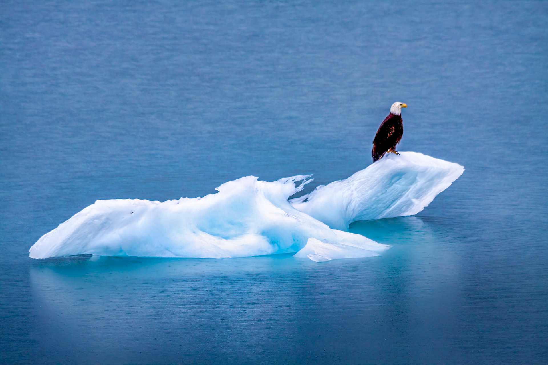 Alaska 2013